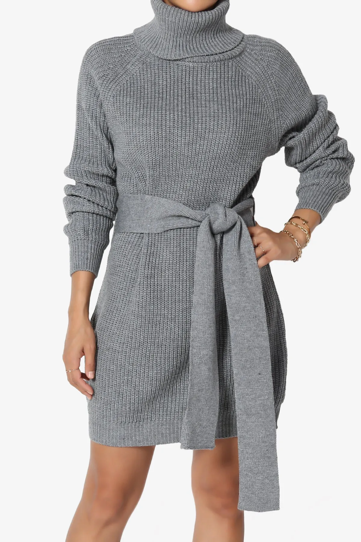 Arkin Turtle Neck Pullover Sweater Mini Dress