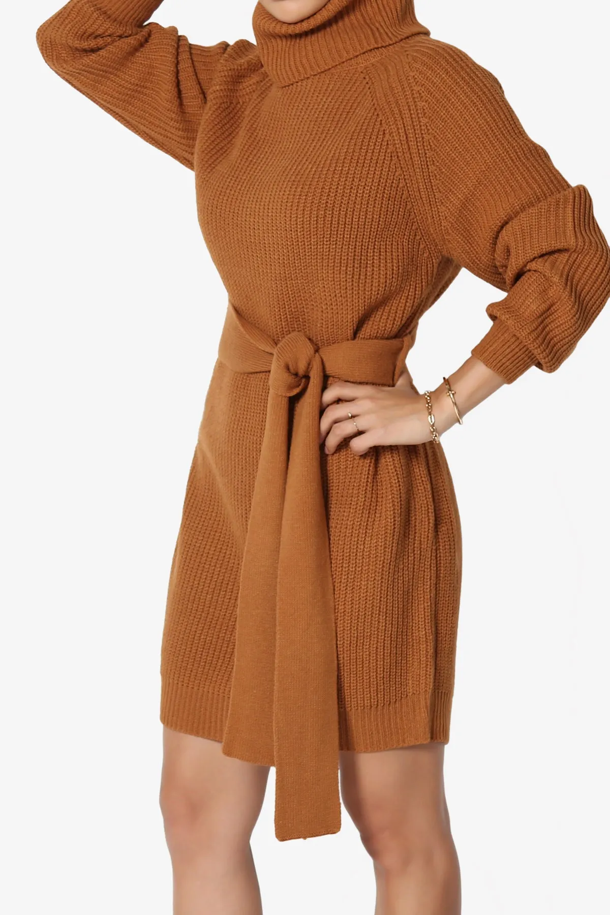 Arkin Turtle Neck Pullover Sweater Mini Dress