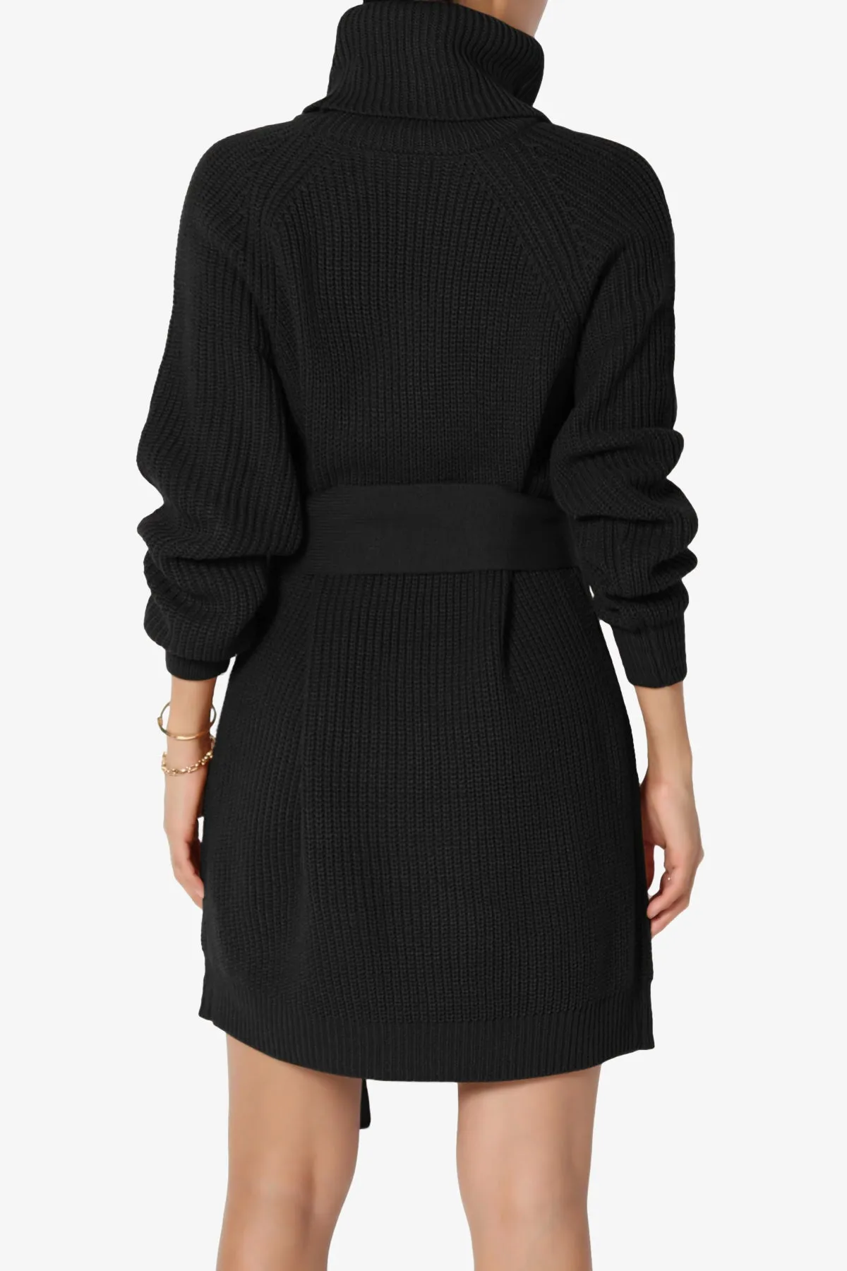 Arkin Turtle Neck Pullover Sweater Mini Dress