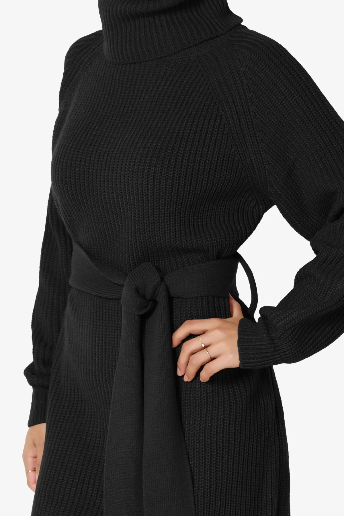 Arkin Turtle Neck Pullover Sweater Mini Dress