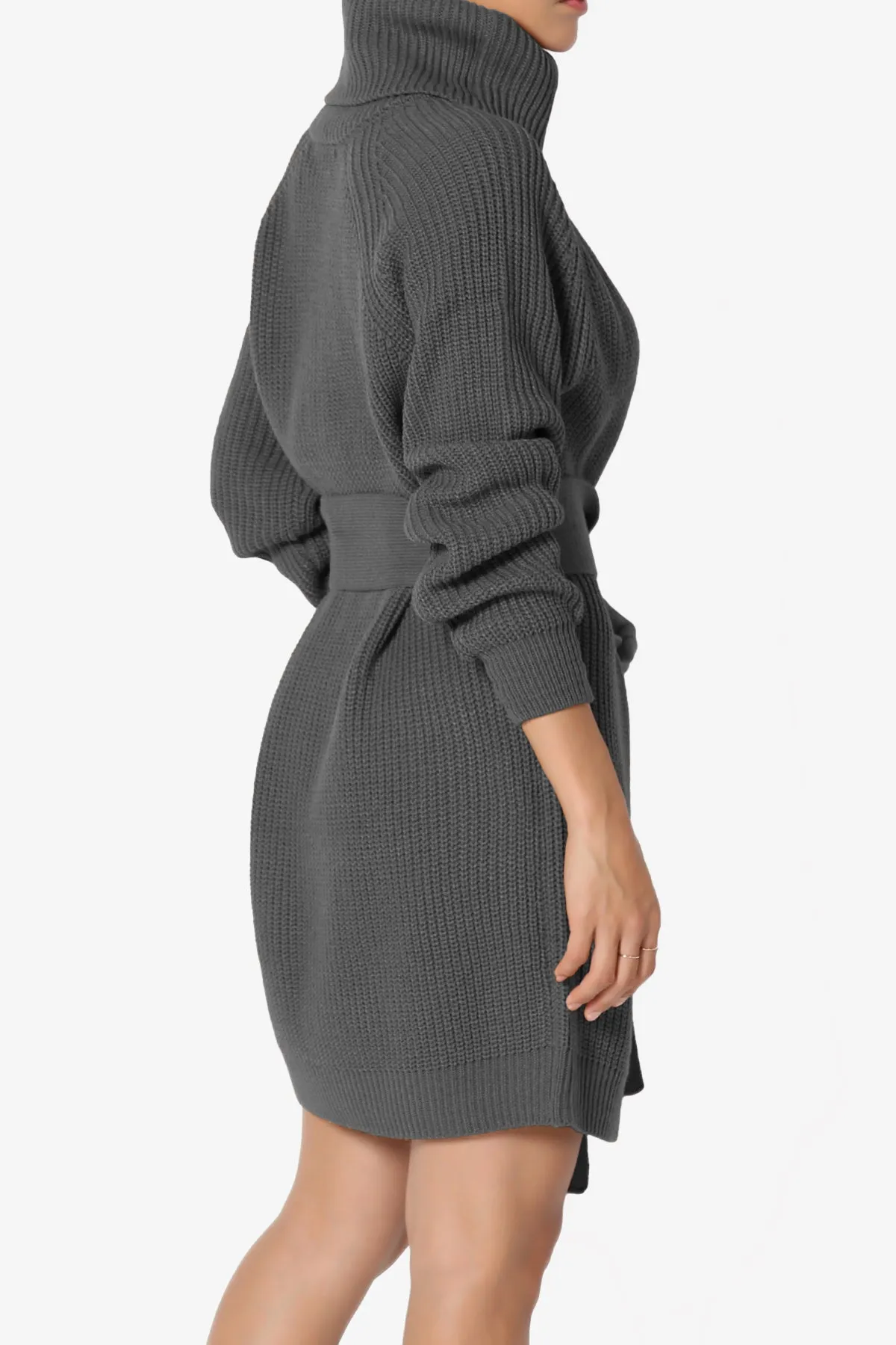 Arkin Turtle Neck Pullover Sweater Mini Dress