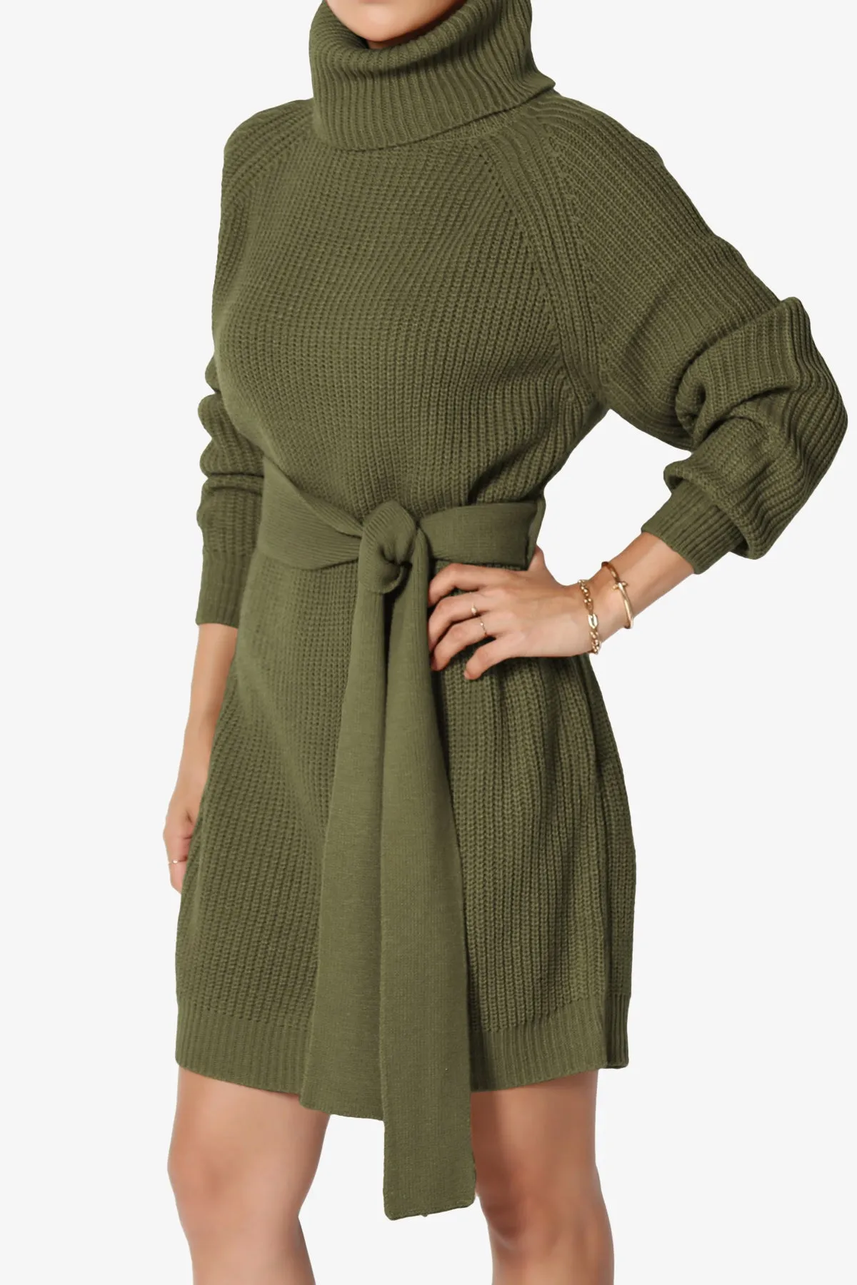 Arkin Turtle Neck Pullover Sweater Mini Dress