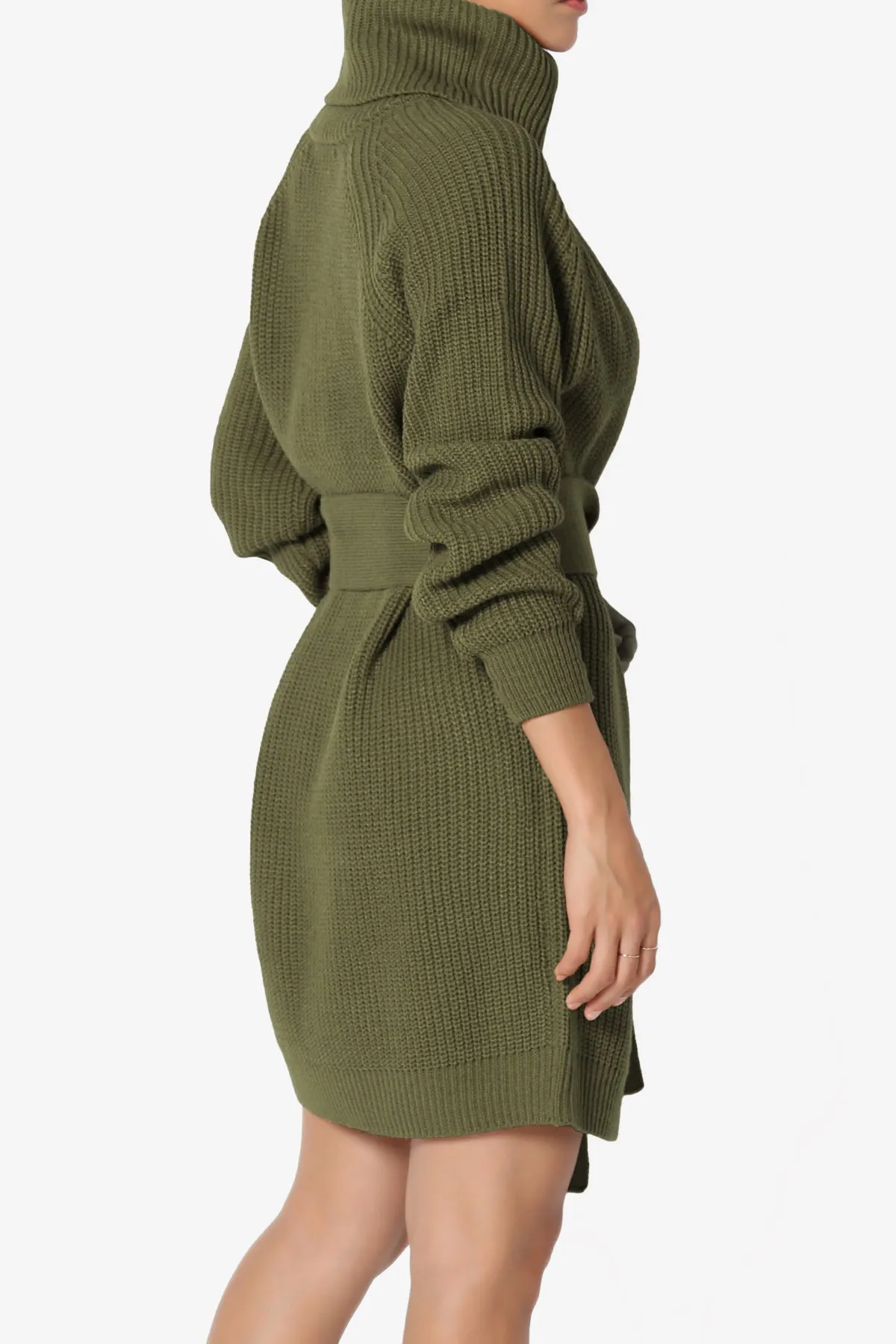 Arkin Turtle Neck Pullover Sweater Mini Dress
