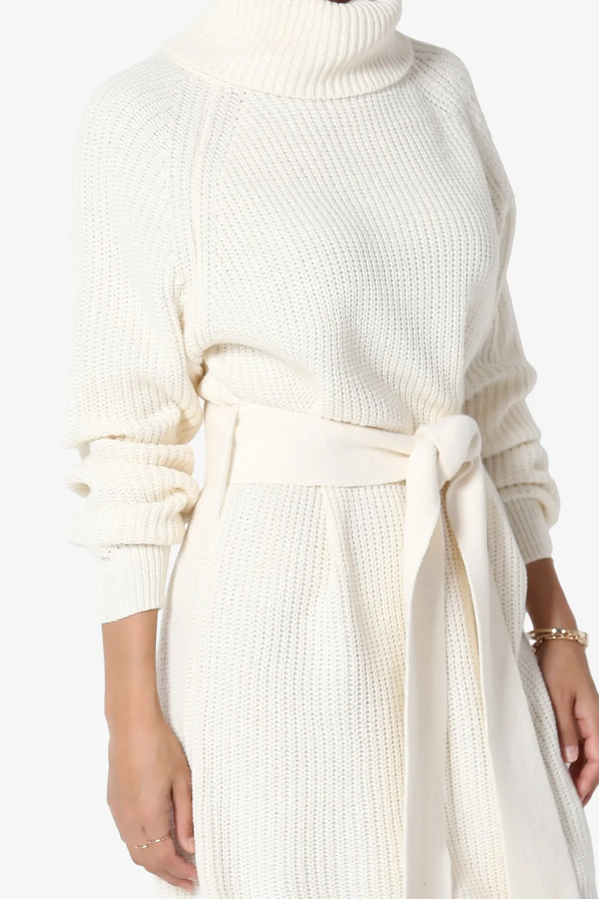 Arkin Turtle Neck Pullover Sweater Mini Dress