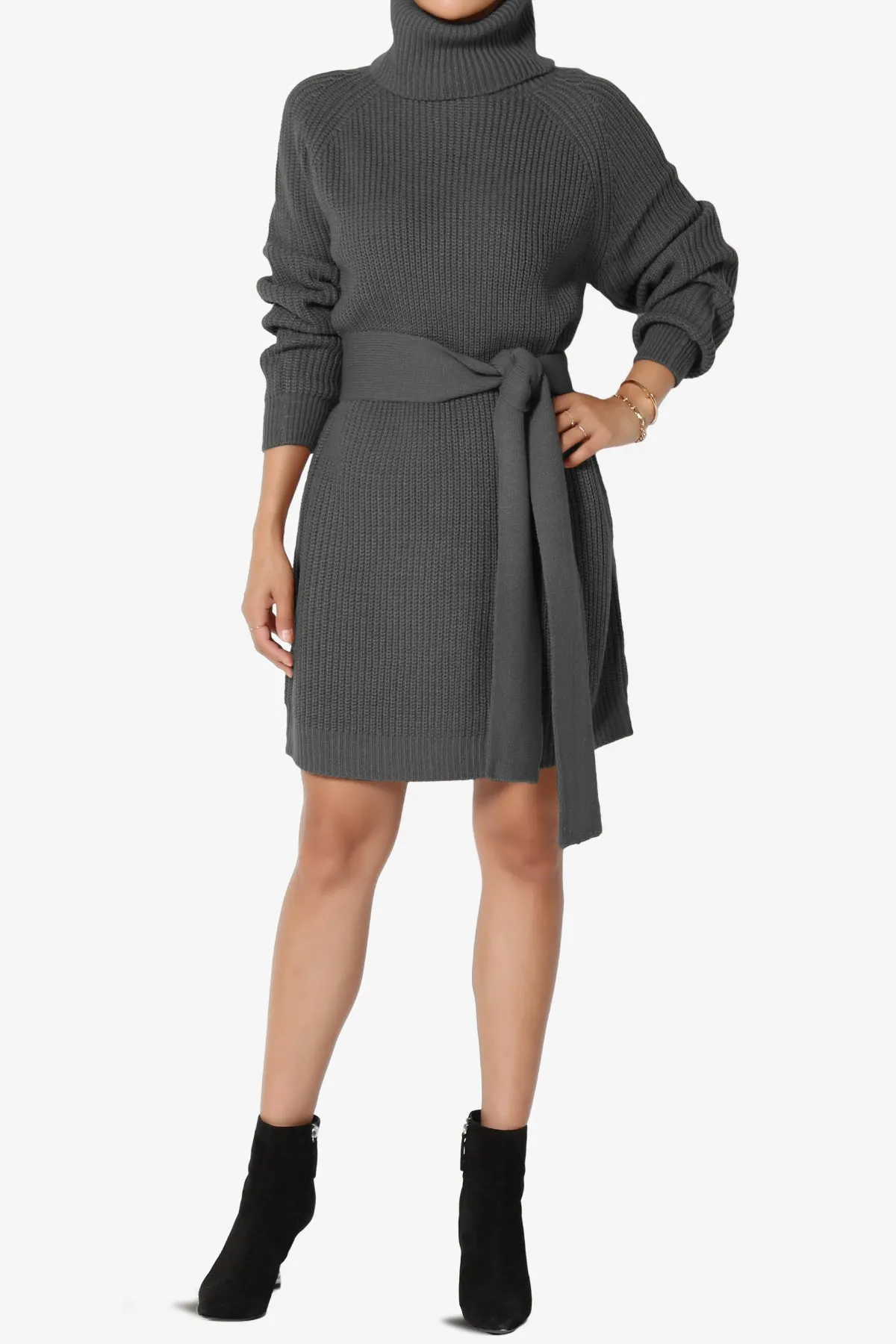 Arkin Turtle Neck Pullover Sweater Mini Dress