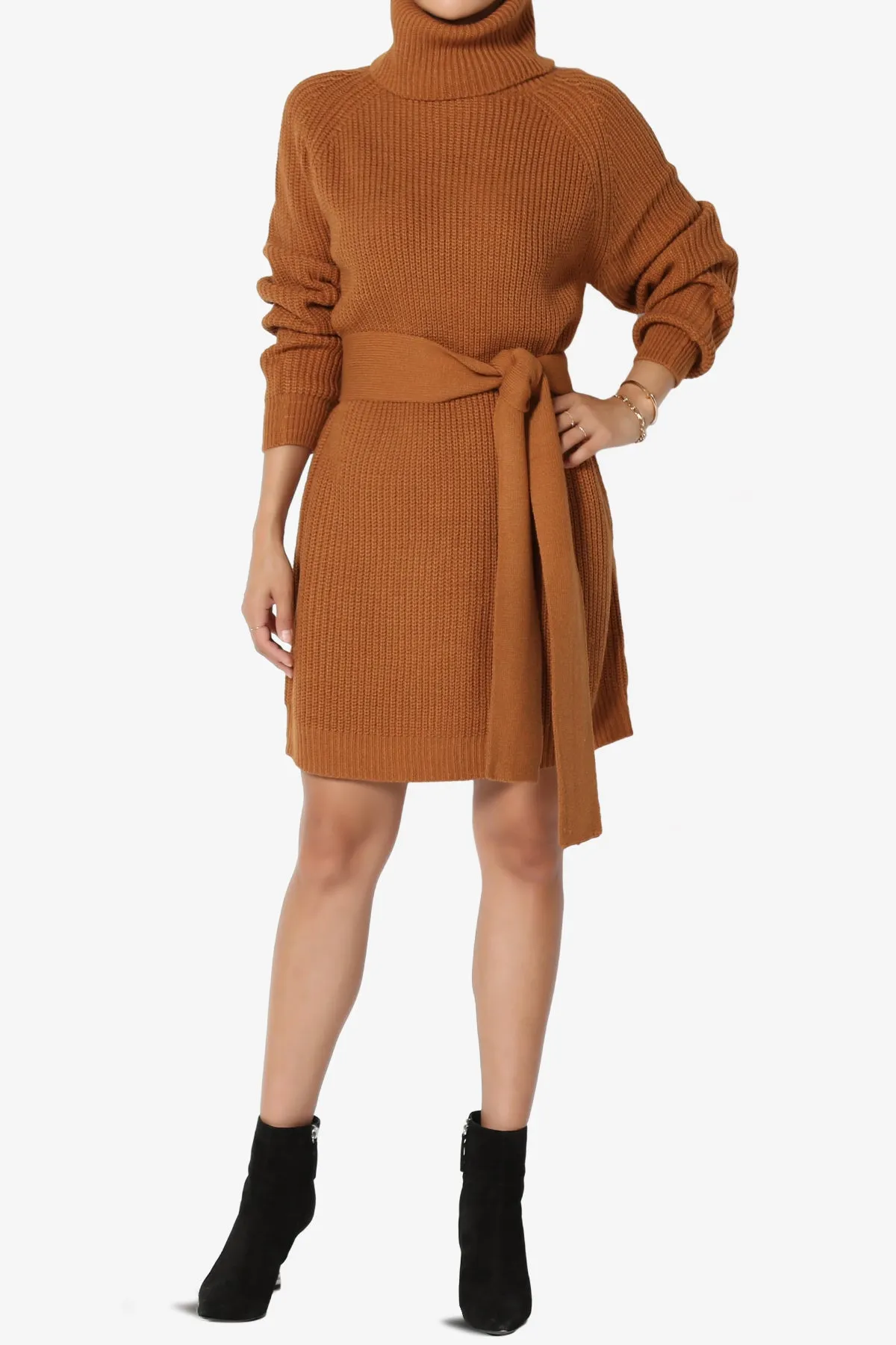 Arkin Turtle Neck Pullover Sweater Mini Dress