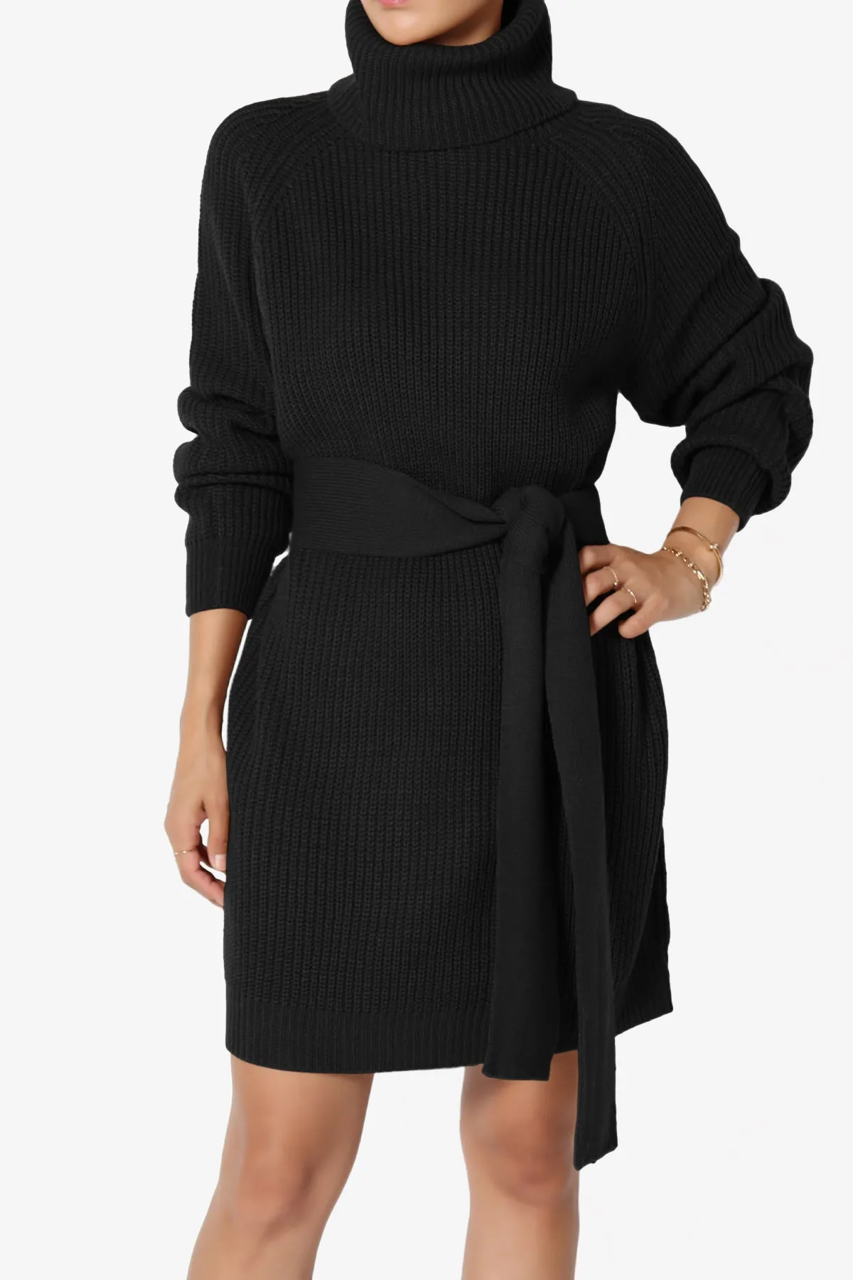 Arkin Turtle Neck Pullover Sweater Mini Dress