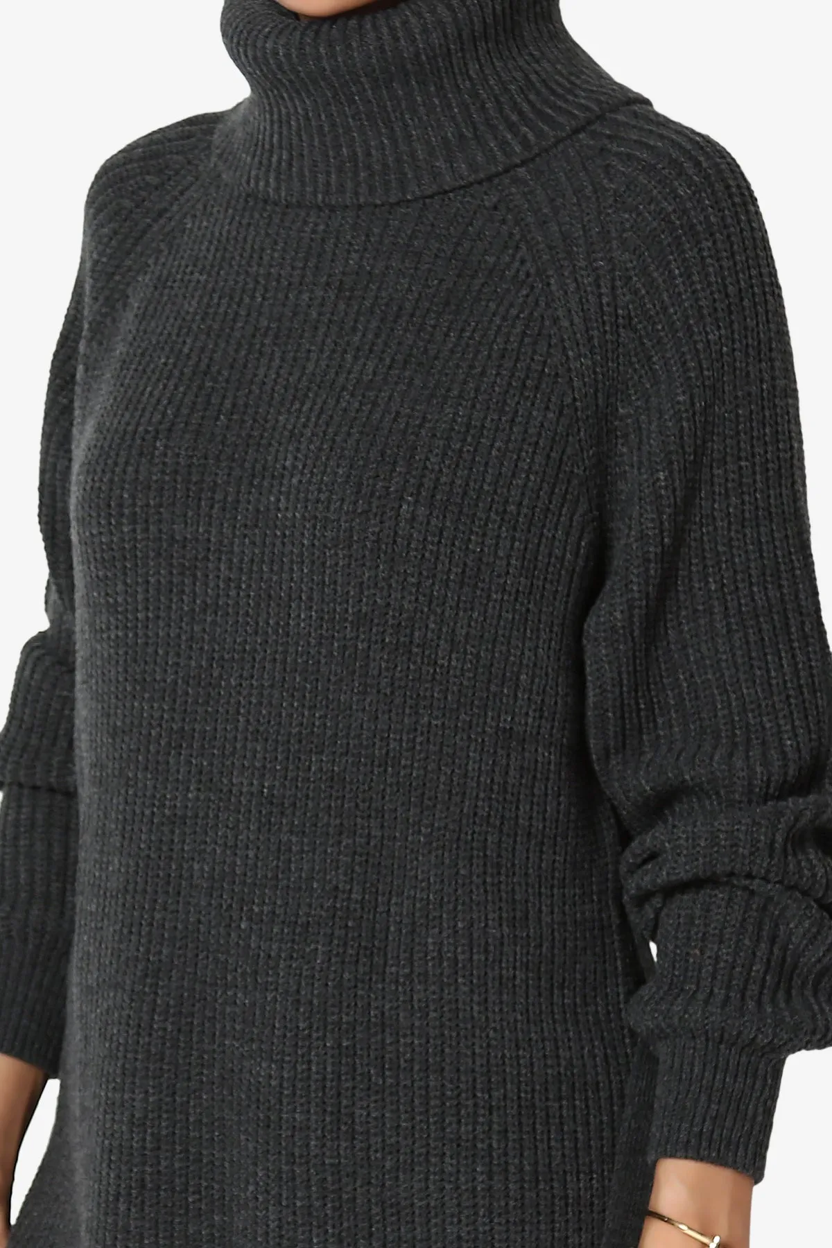 Arkin Turtle Neck Pullover Sweater Mini Dress