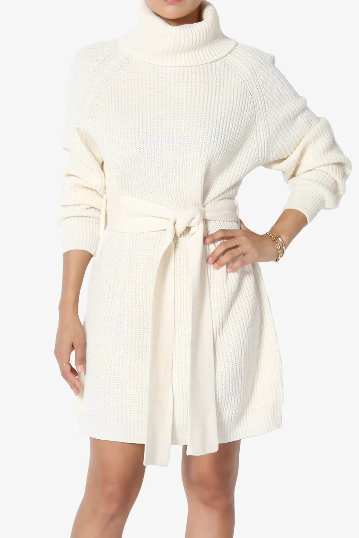 Arkin Turtle Neck Pullover Sweater Mini Dress