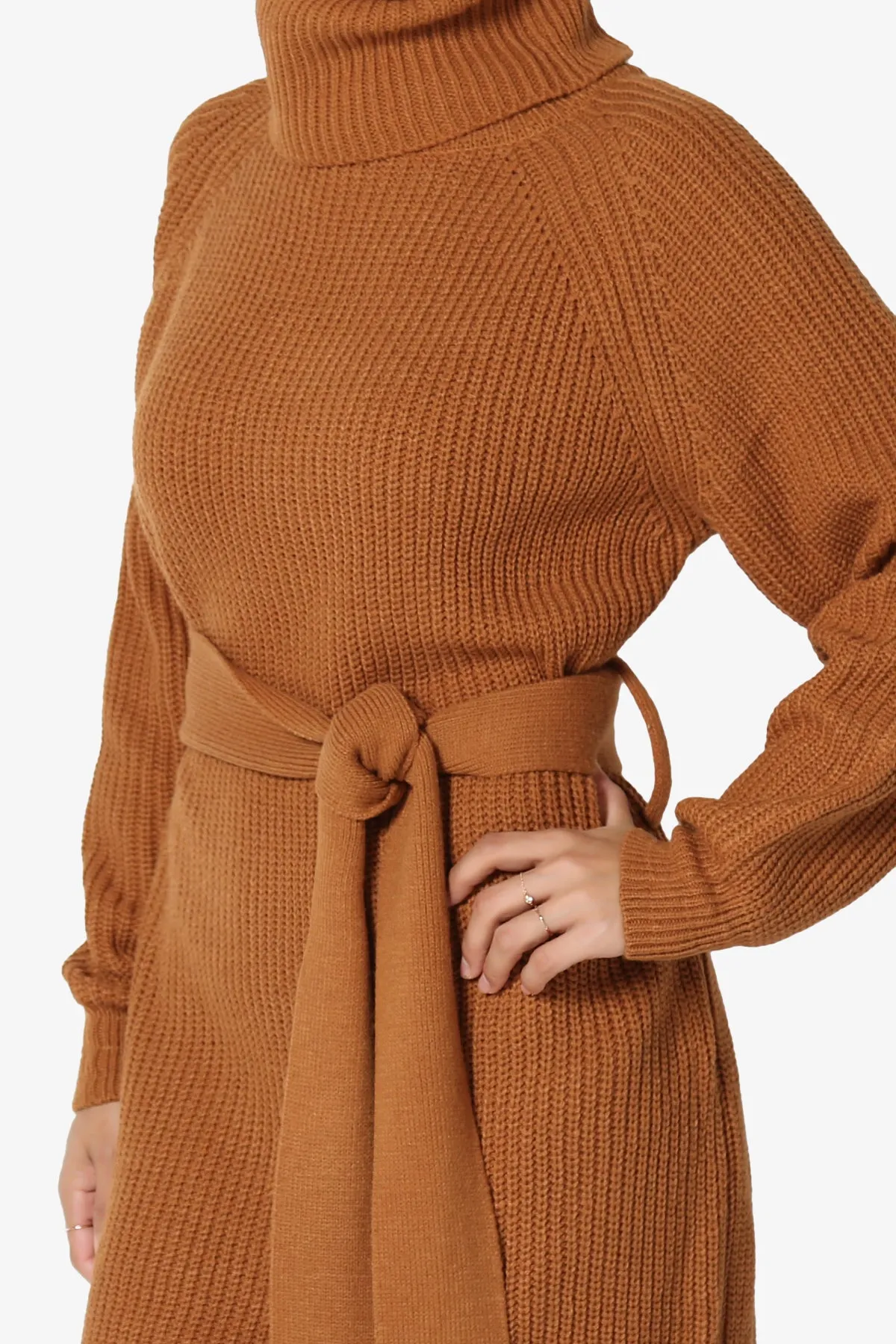 Arkin Turtle Neck Pullover Sweater Mini Dress