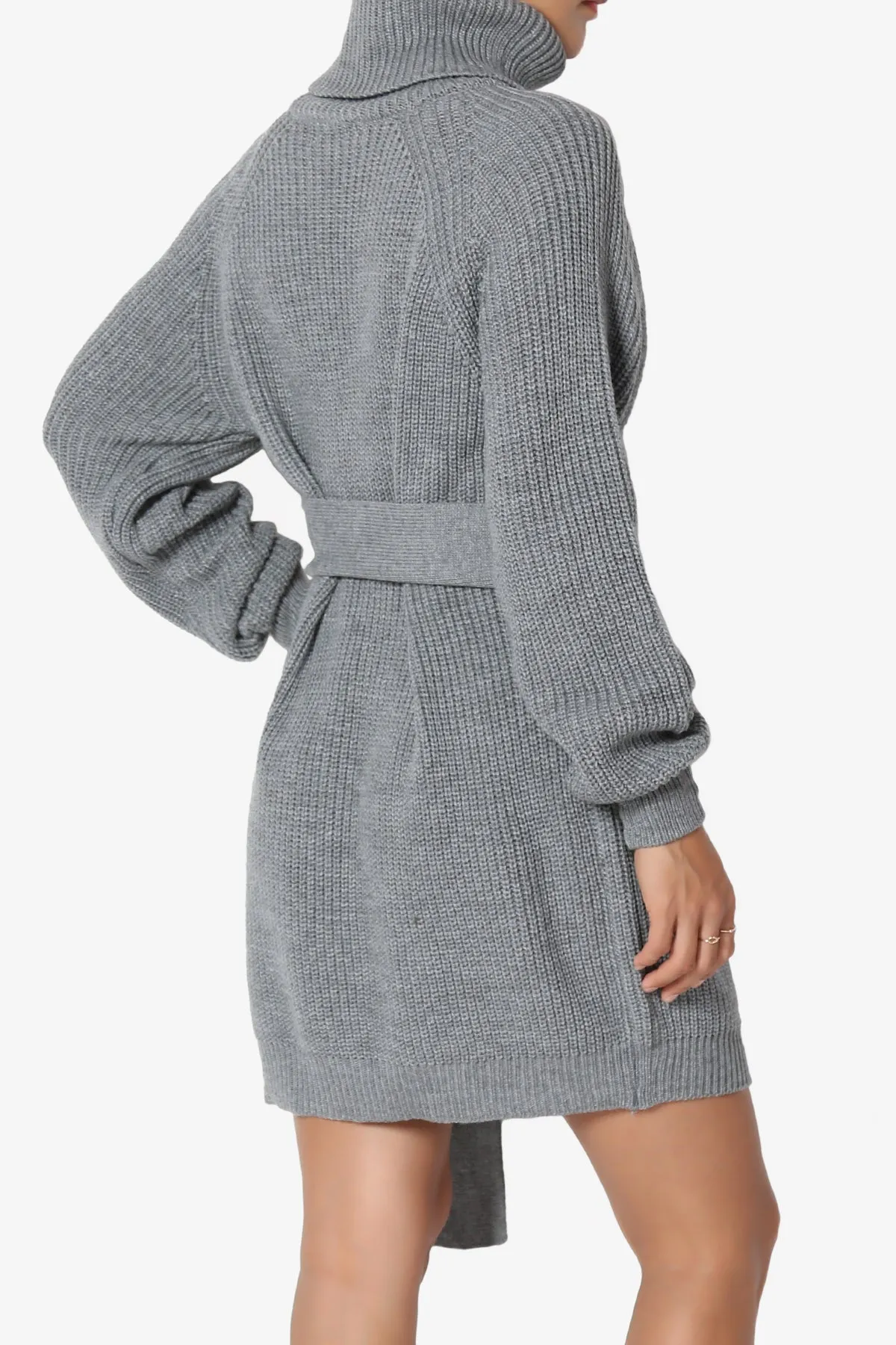 Arkin Turtle Neck Pullover Sweater Mini Dress
