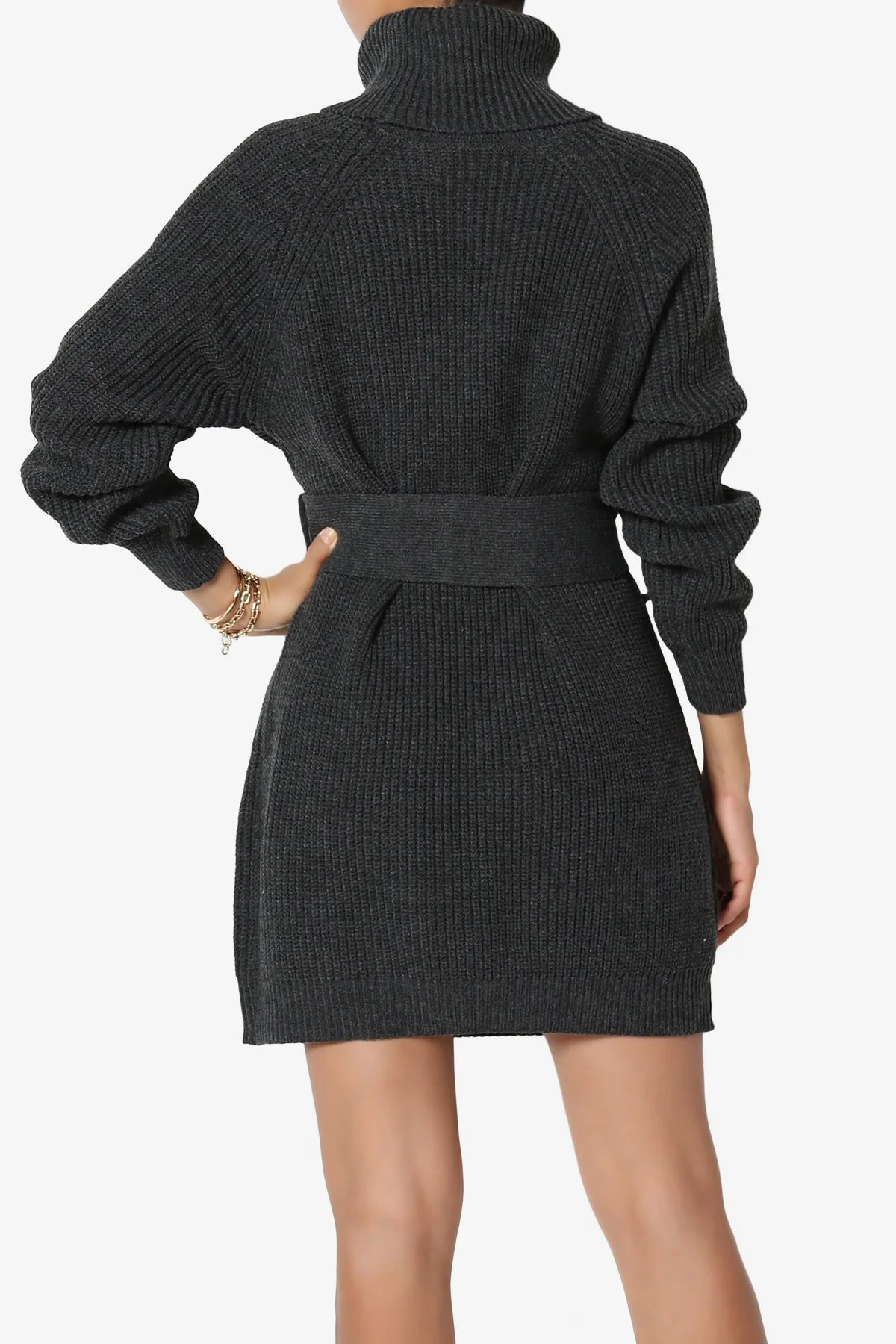 Arkin Turtle Neck Pullover Sweater Mini Dress