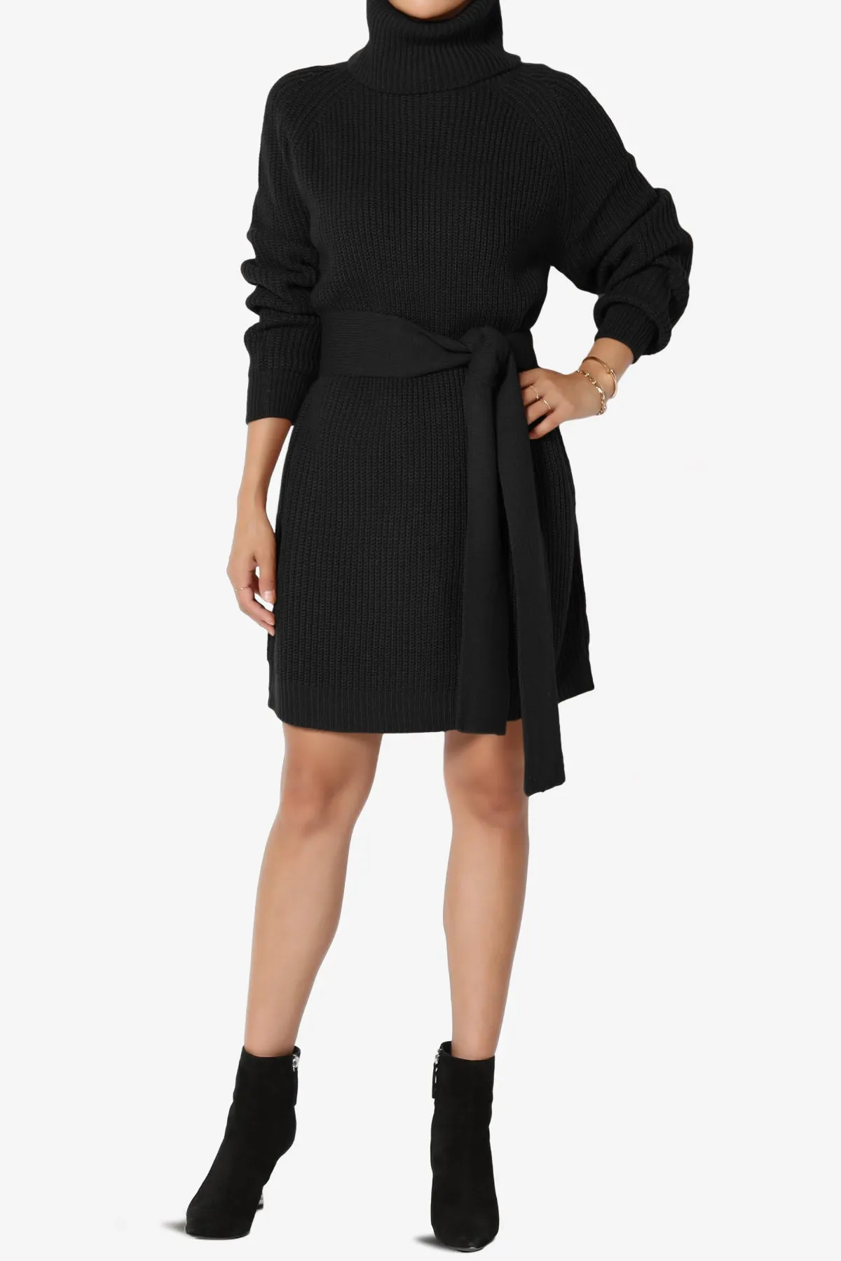 Arkin Turtle Neck Pullover Sweater Mini Dress
