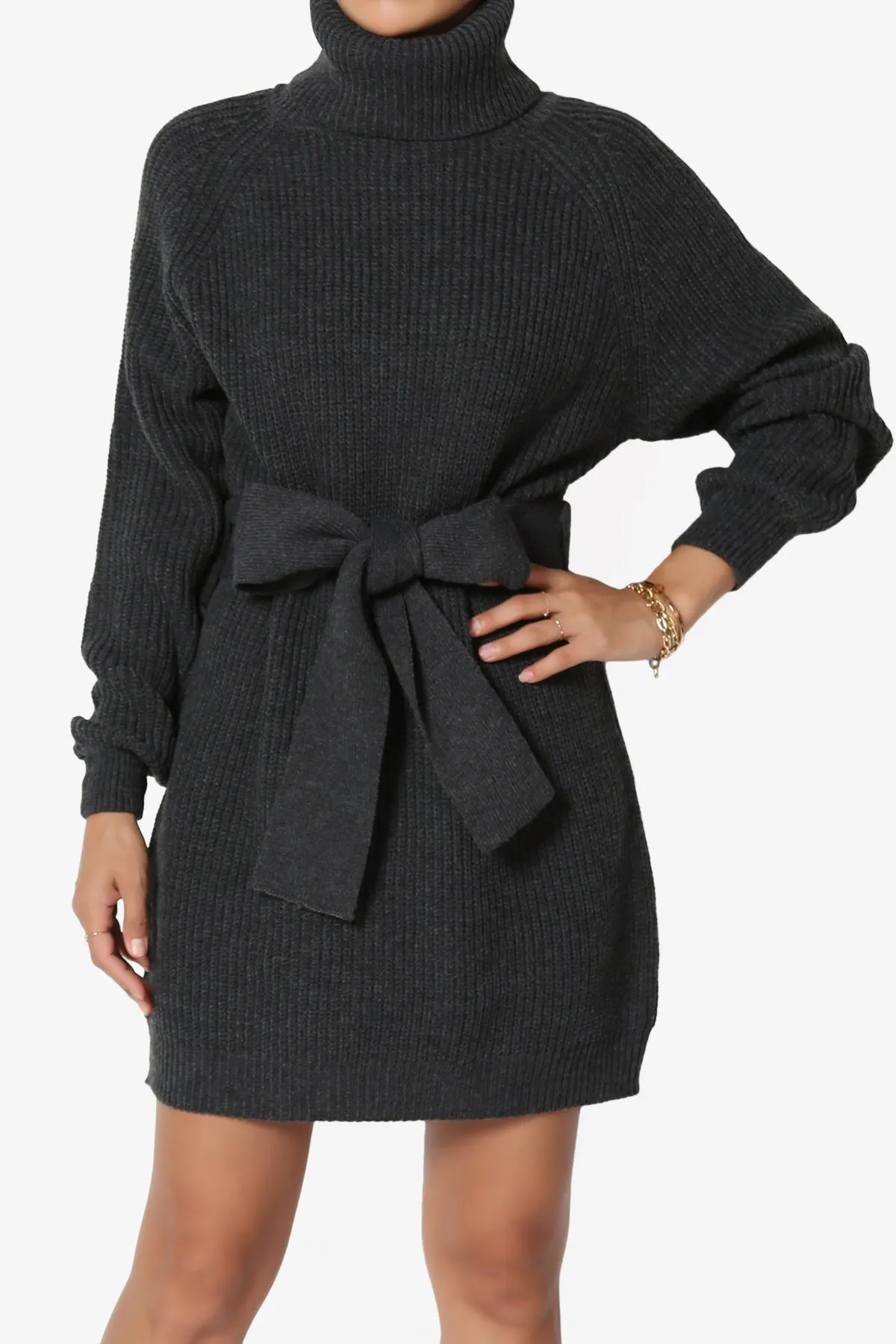 Arkin Turtle Neck Pullover Sweater Mini Dress