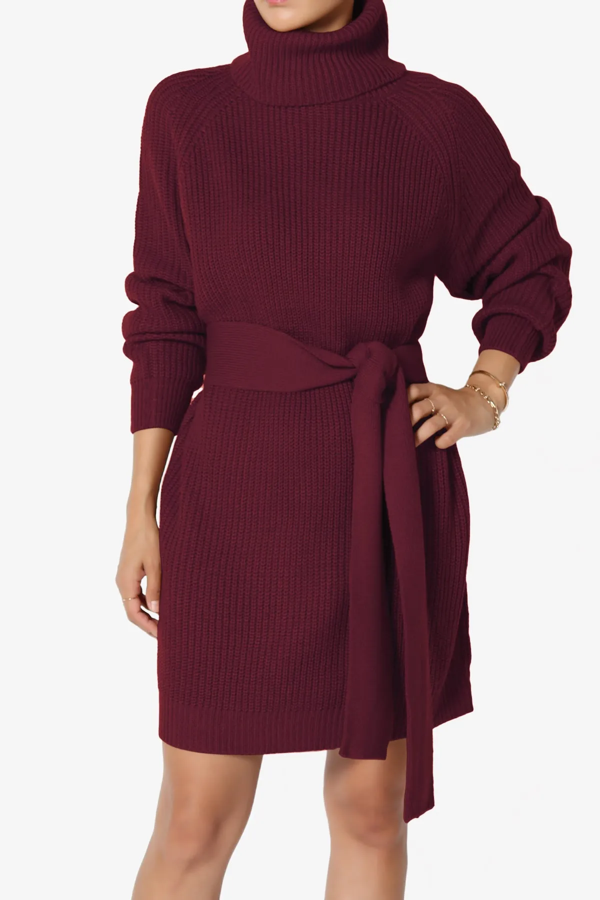 Arkin Turtle Neck Pullover Sweater Mini Dress