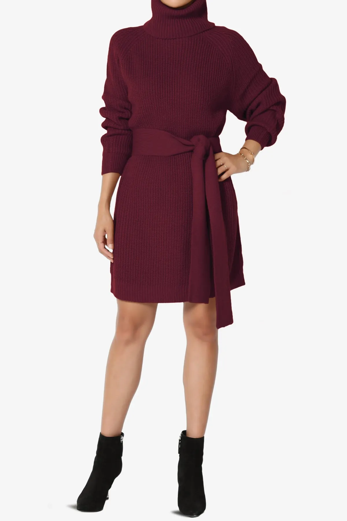 Arkin Turtle Neck Pullover Sweater Mini Dress