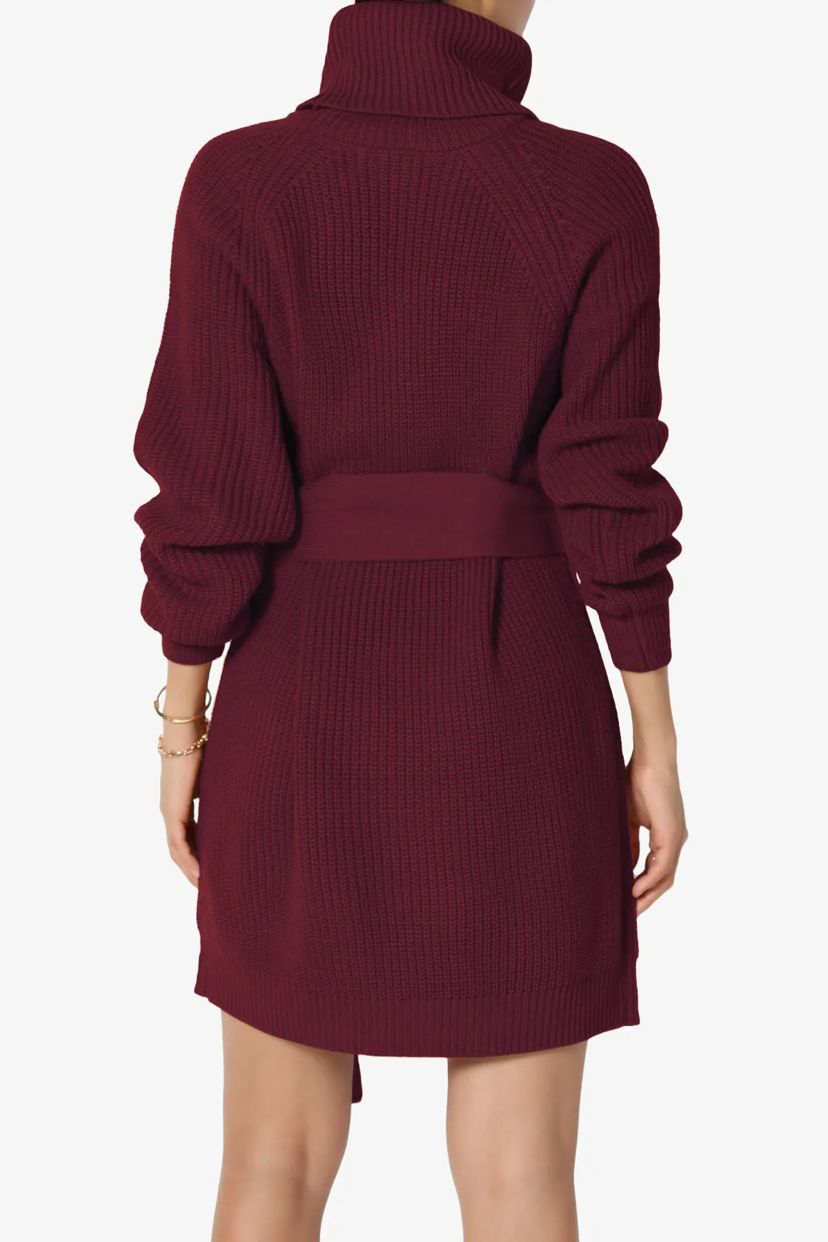 Arkin Turtle Neck Pullover Sweater Mini Dress