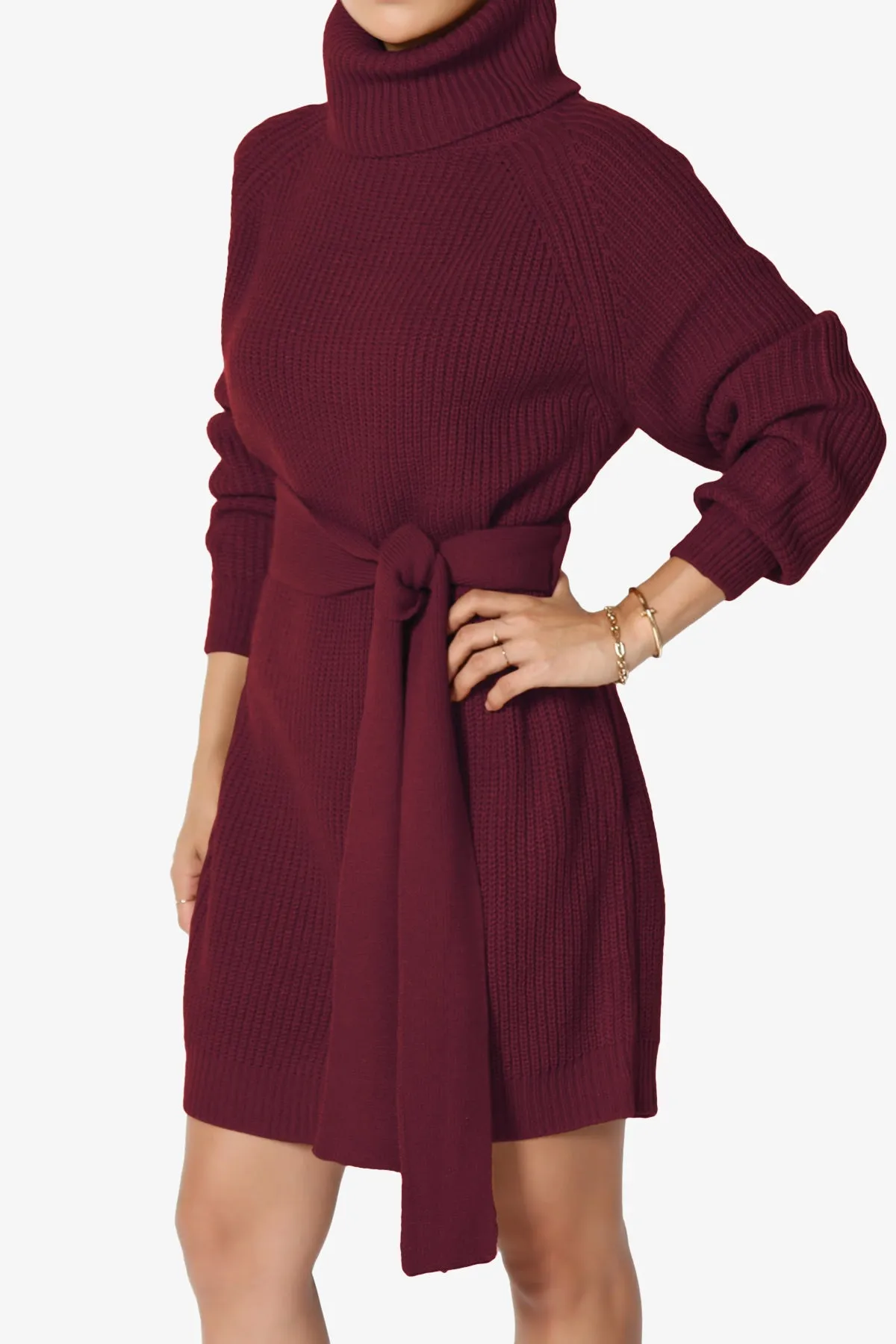 Arkin Turtle Neck Pullover Sweater Mini Dress