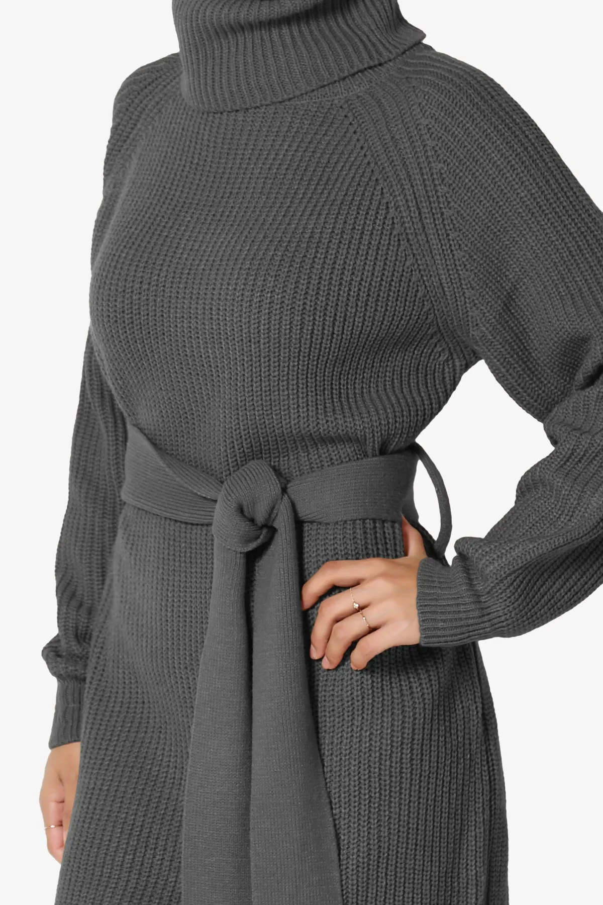 Arkin Turtle Neck Pullover Sweater Mini Dress