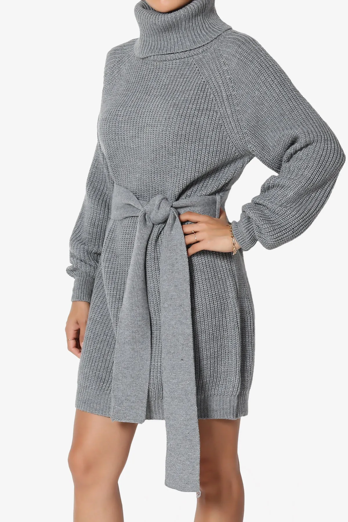 Arkin Turtle Neck Pullover Sweater Mini Dress