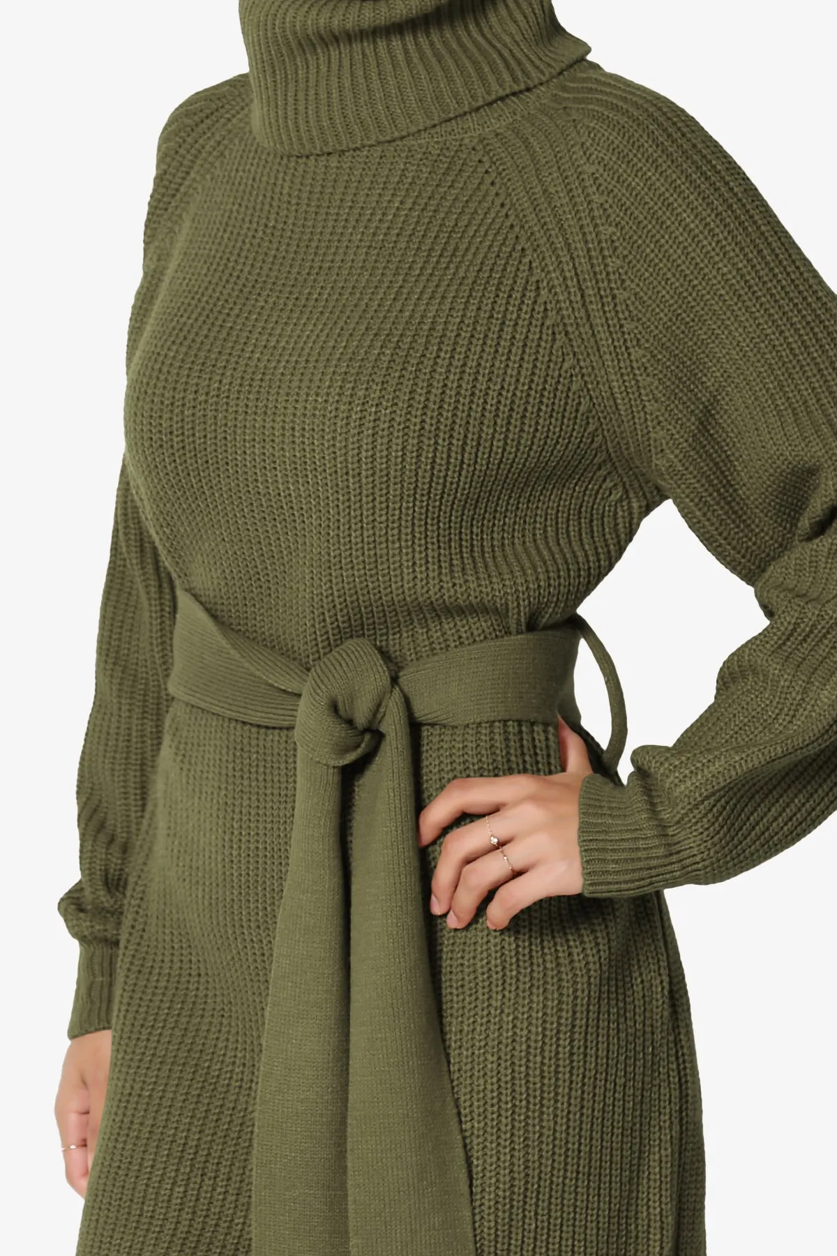 Arkin Turtle Neck Pullover Sweater Mini Dress
