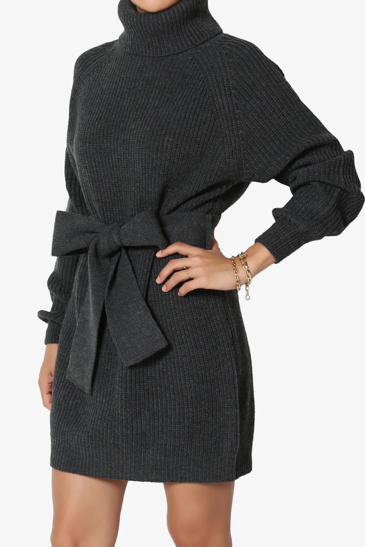 Arkin Turtle Neck Pullover Sweater Mini Dress