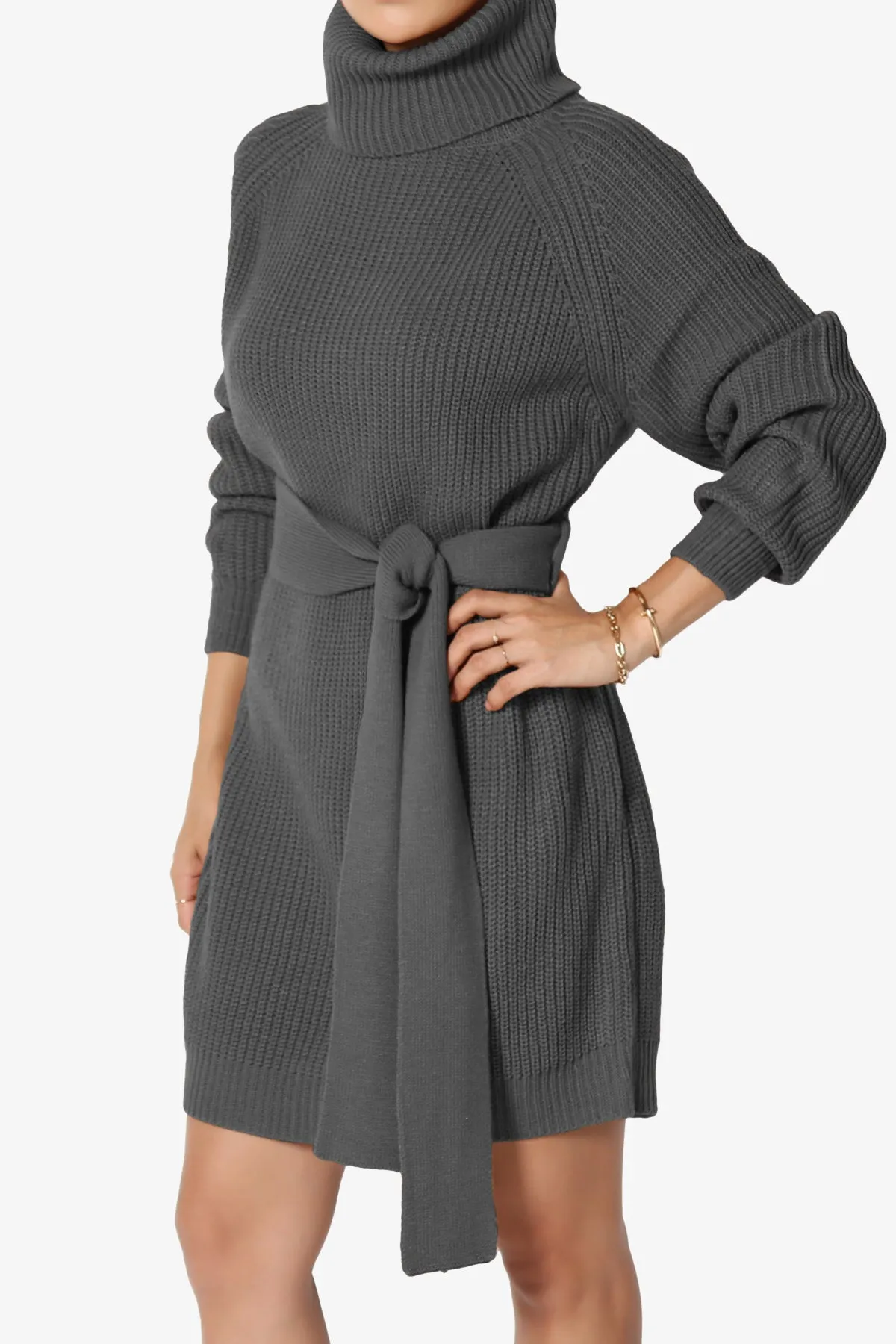 Arkin Turtle Neck Pullover Sweater Mini Dress