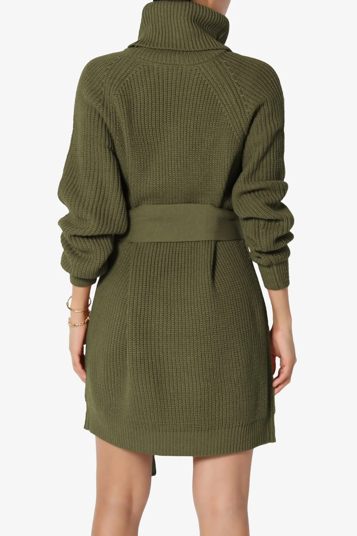 Arkin Turtle Neck Pullover Sweater Mini Dress