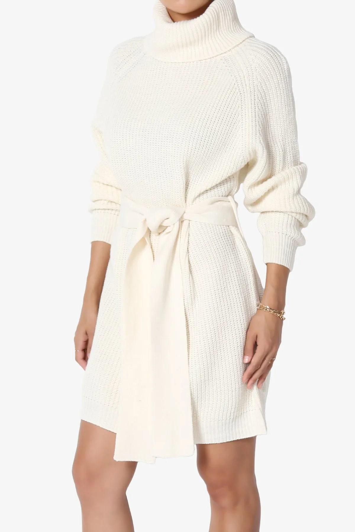 Arkin Turtle Neck Pullover Sweater Mini Dress