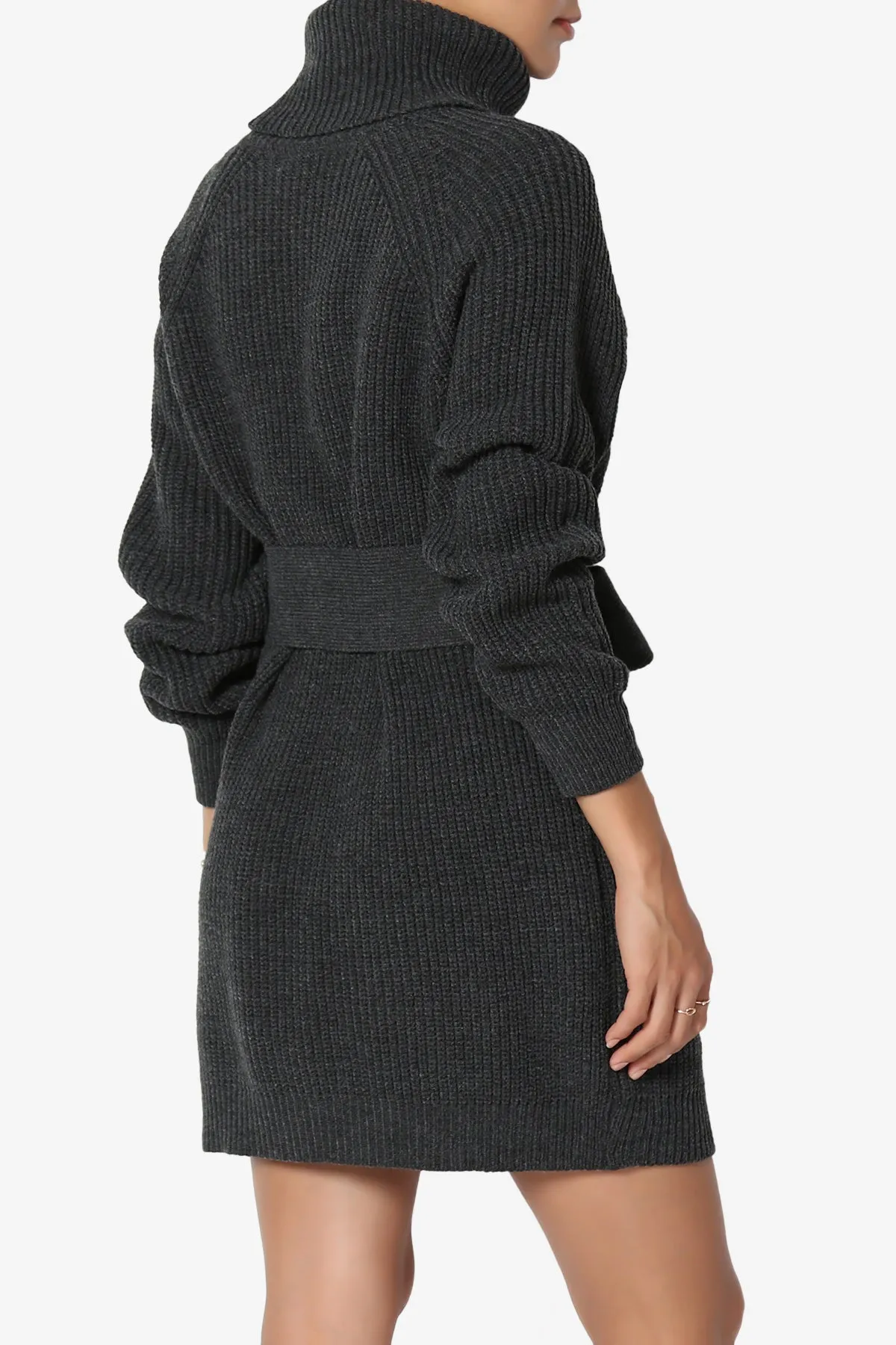 Arkin Turtle Neck Pullover Sweater Mini Dress