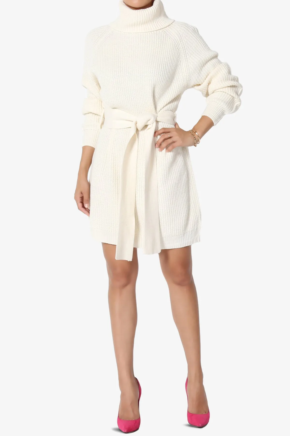 Arkin Turtle Neck Pullover Sweater Mini Dress