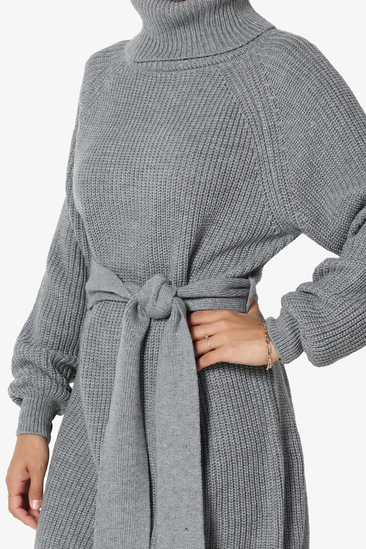 Arkin Turtle Neck Pullover Sweater Mini Dress