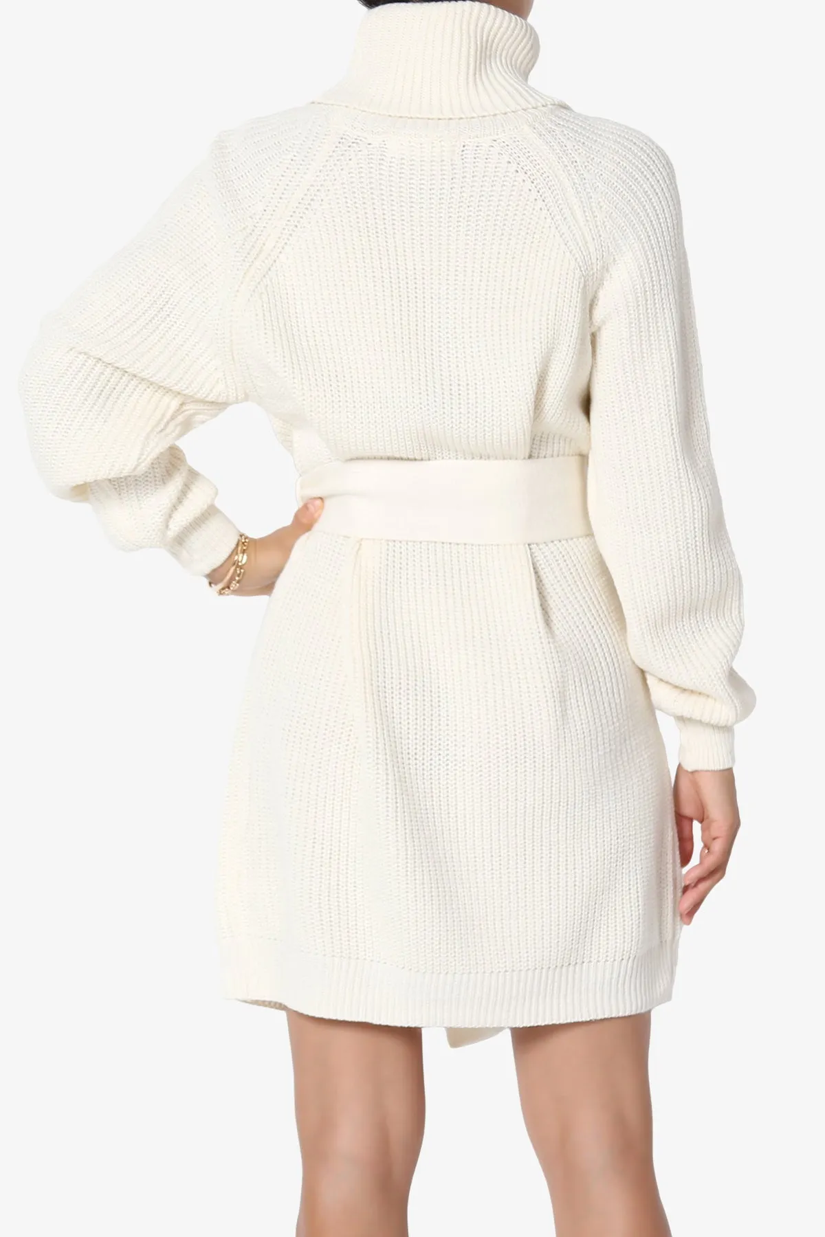 Arkin Turtle Neck Pullover Sweater Mini Dress