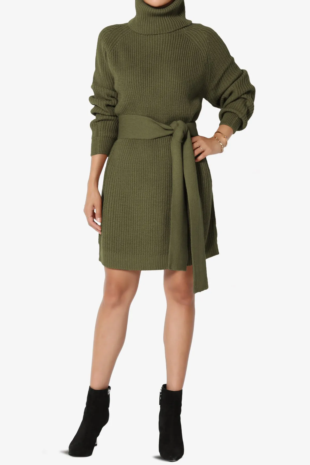 Arkin Turtle Neck Pullover Sweater Mini Dress