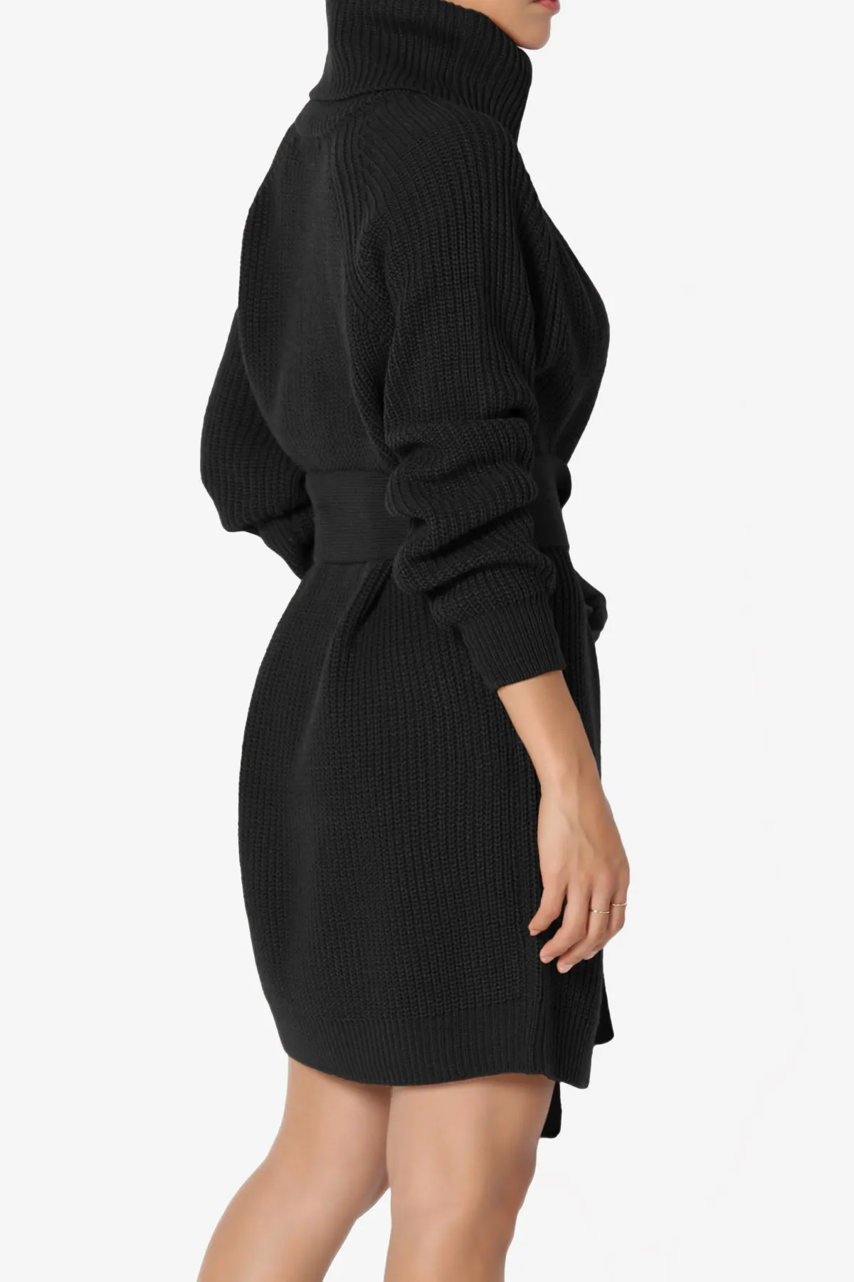 Arkin Turtle Neck Pullover Sweater Mini Dress