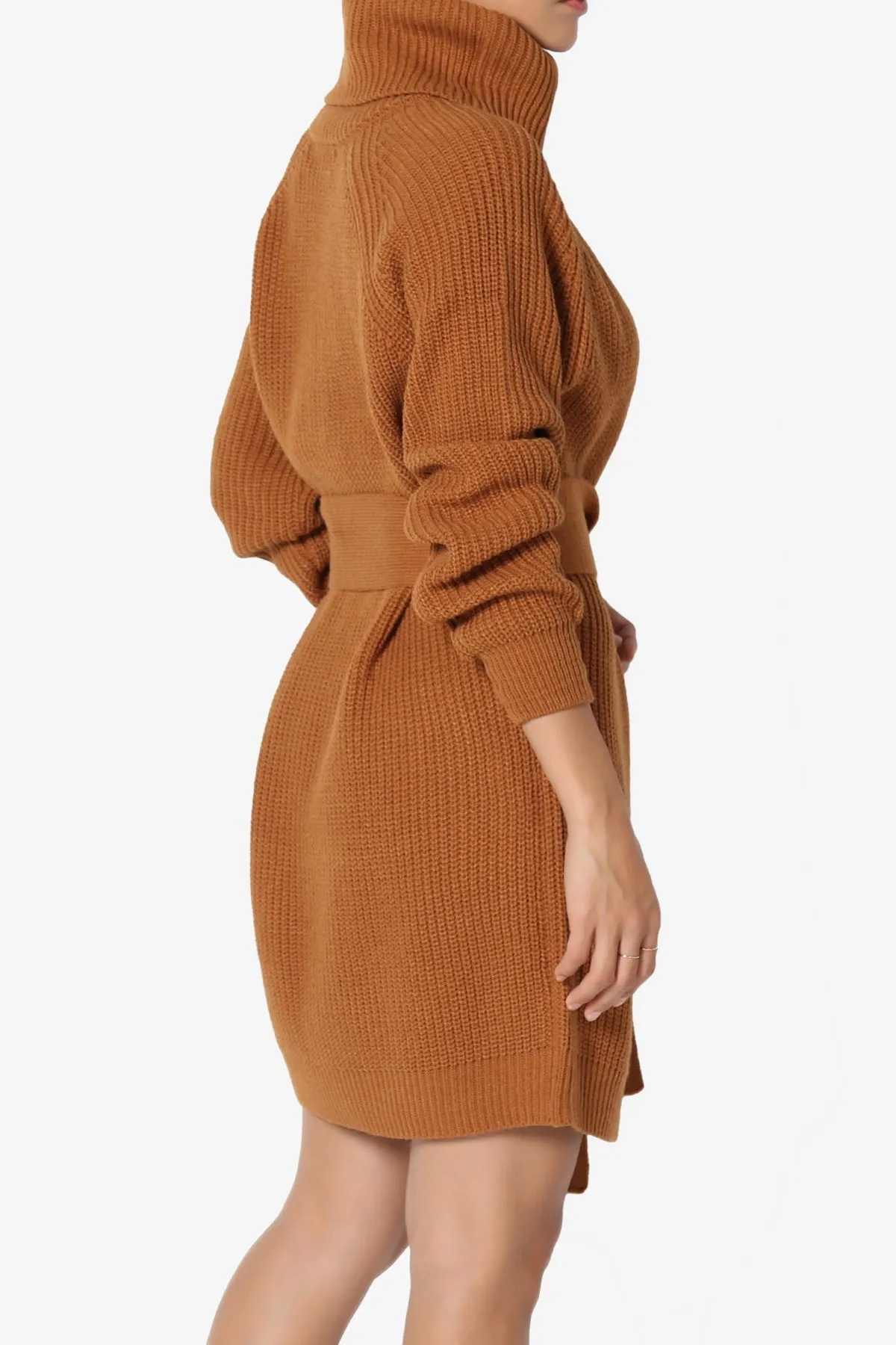 Arkin Turtle Neck Pullover Sweater Mini Dress