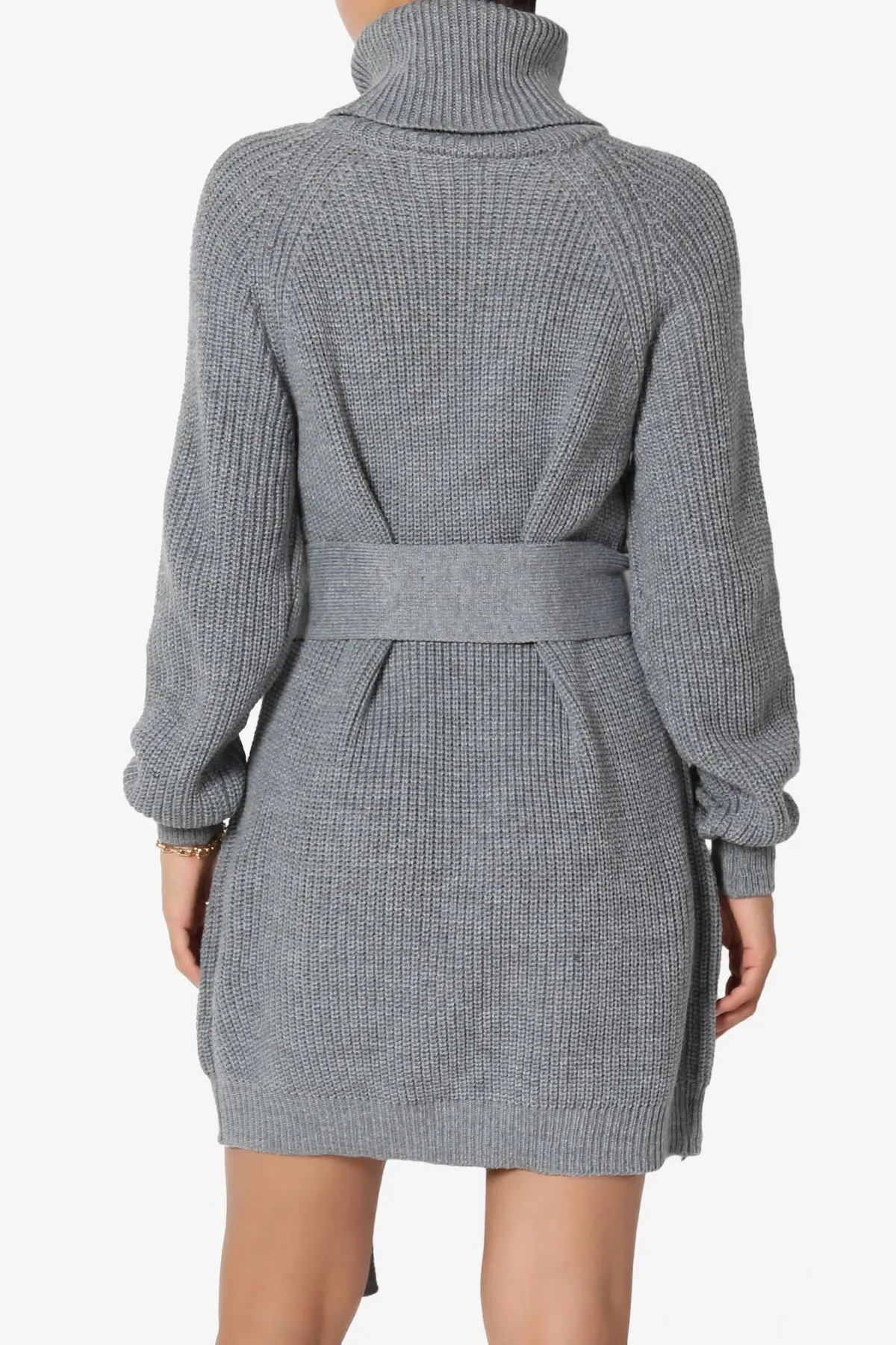 Arkin Turtle Neck Pullover Sweater Mini Dress