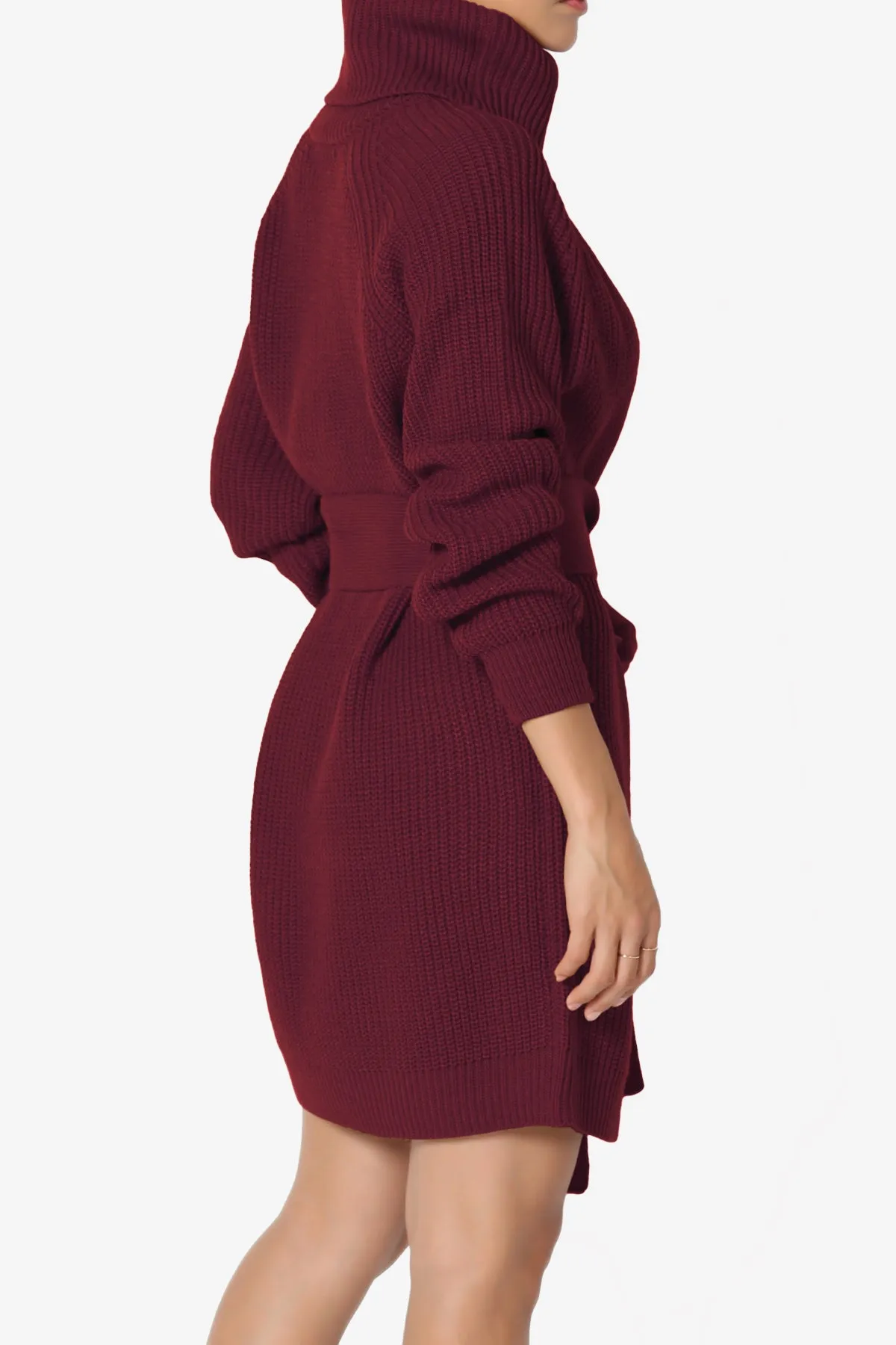 Arkin Turtle Neck Pullover Sweater Mini Dress