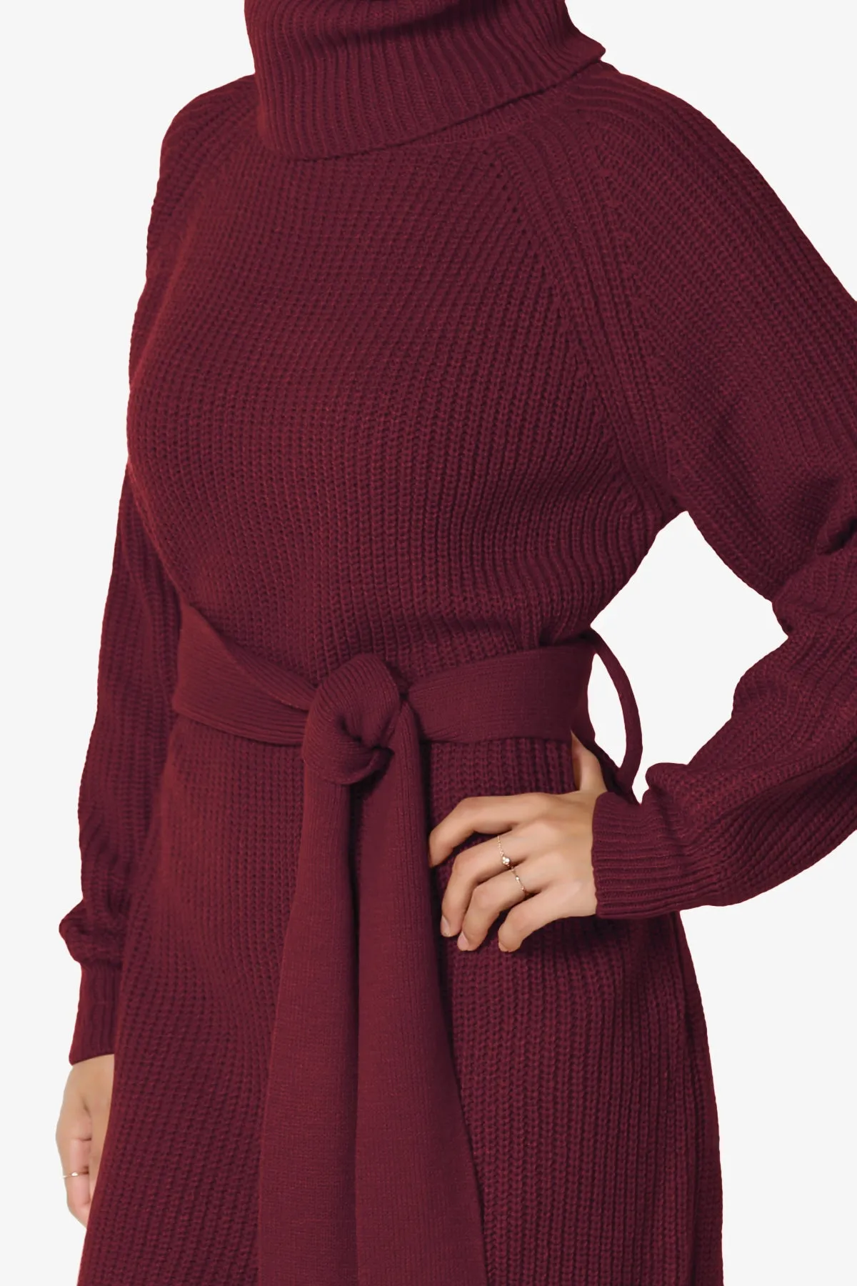 Arkin Turtle Neck Pullover Sweater Mini Dress