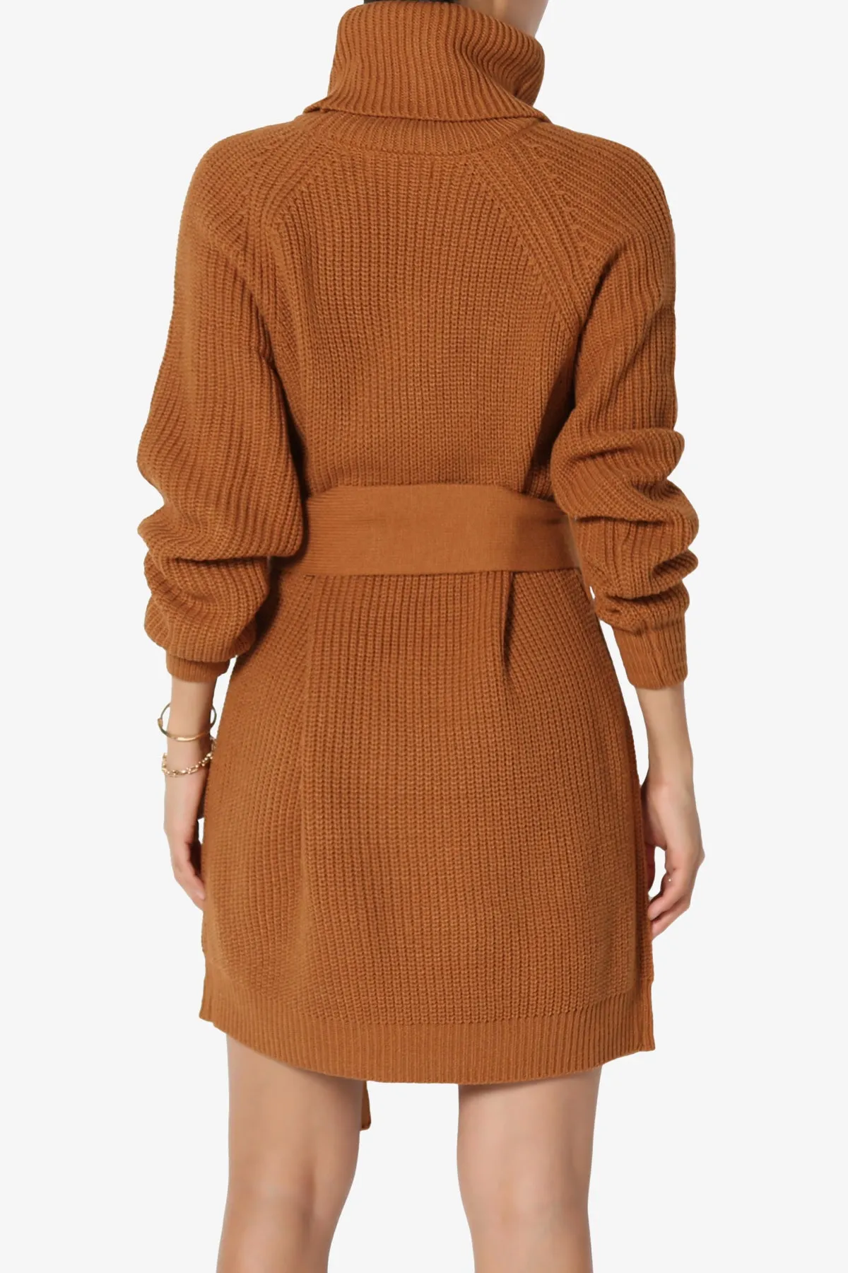 Arkin Turtle Neck Pullover Sweater Mini Dress