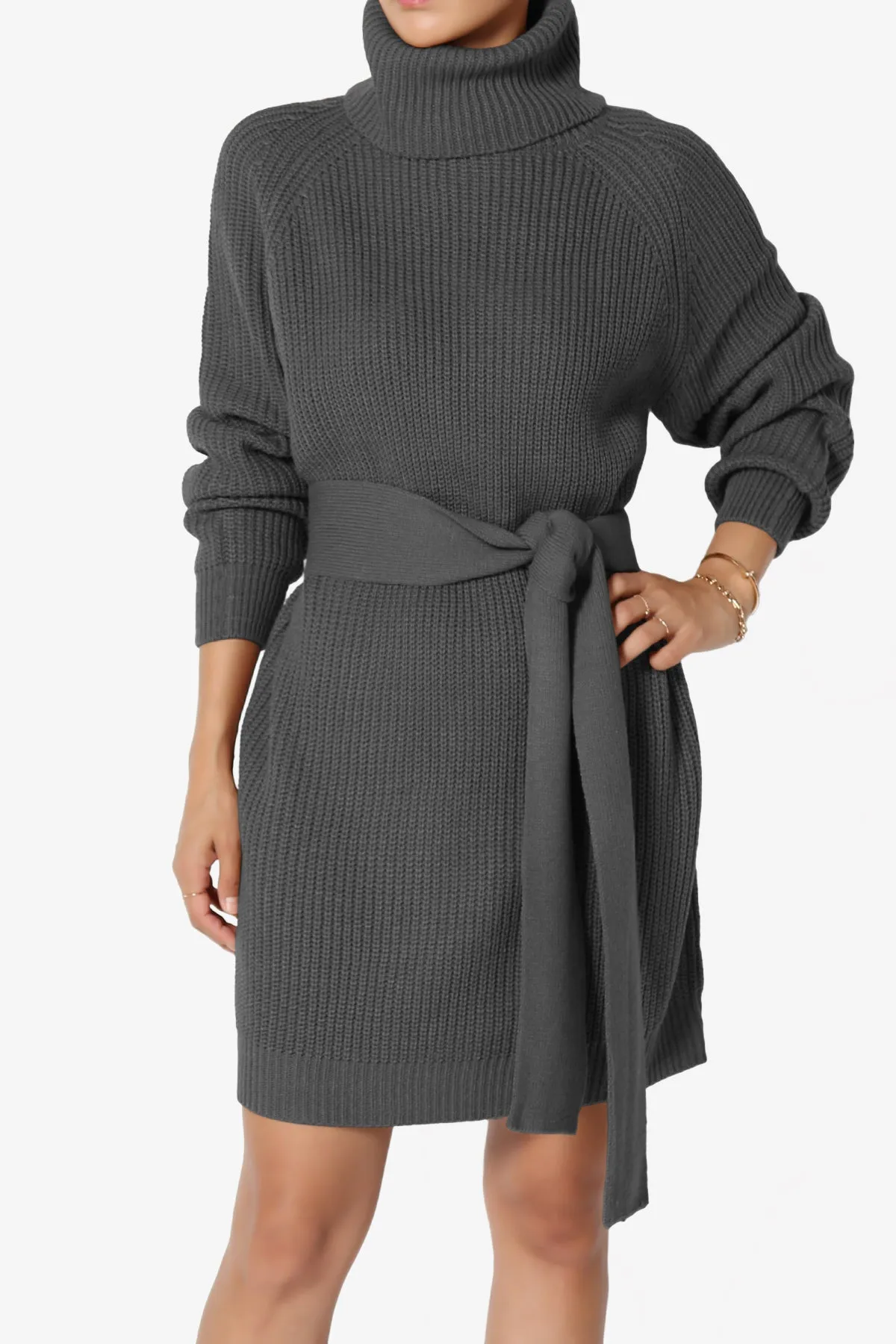 Arkin Turtle Neck Pullover Sweater Mini Dress