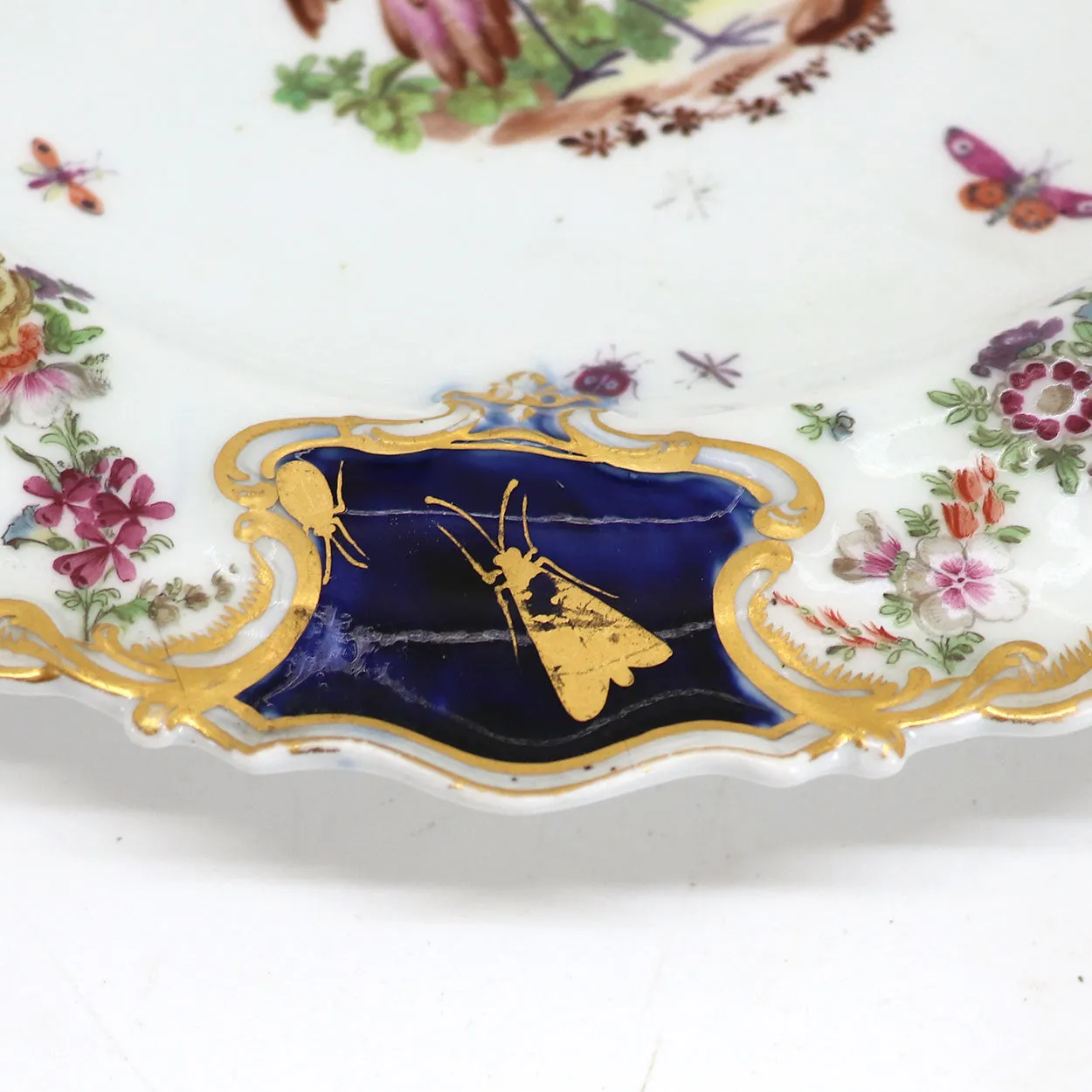 English Chelsea Soft Paste Porcelain Exotic Bird Mecklenberg-Strelitz Service Plate