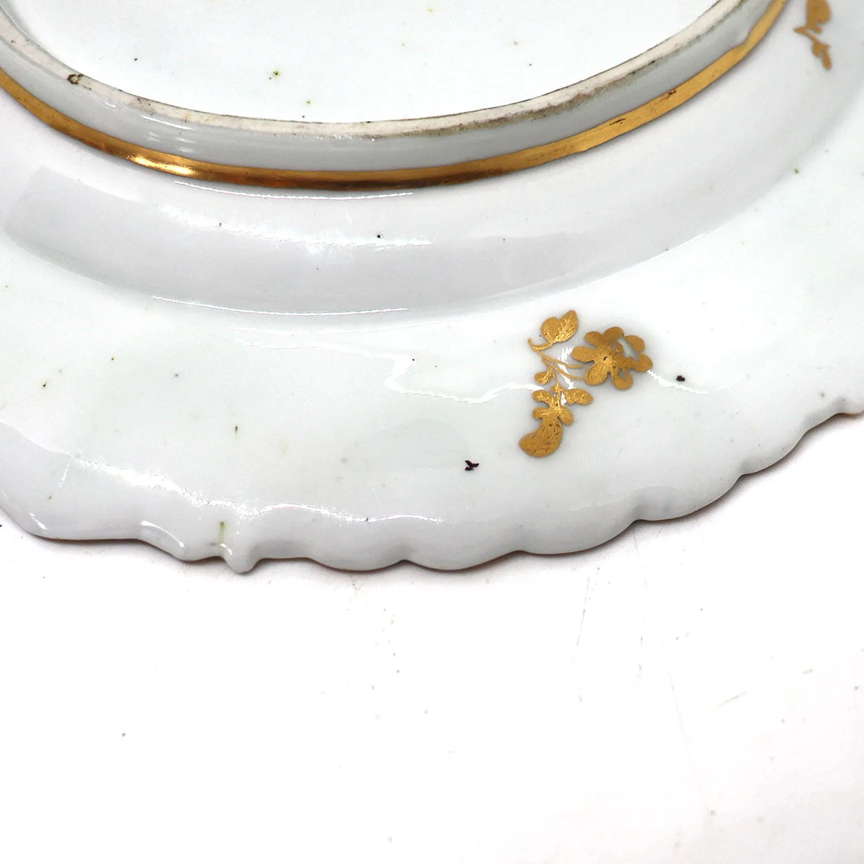 English Chelsea Soft Paste Porcelain Exotic Bird Mecklenberg-Strelitz Service Plate