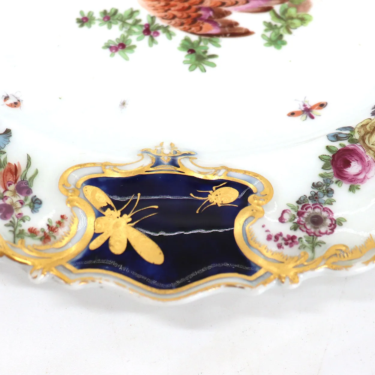 English Chelsea Soft Paste Porcelain Exotic Bird Mecklenberg-Strelitz Service Plate