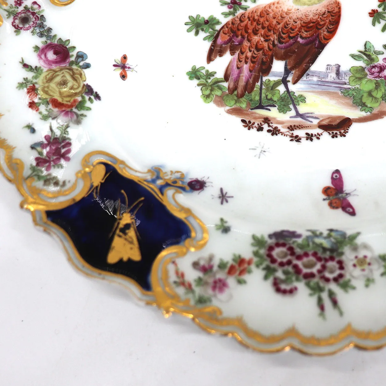 English Chelsea Soft Paste Porcelain Exotic Bird Mecklenberg-Strelitz Service Plate