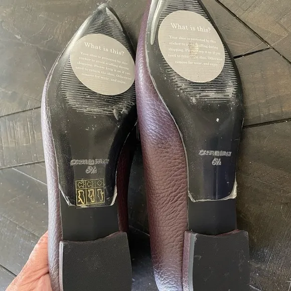 Everlane Maroon Pointy Toe Loafer Size 6 1/2