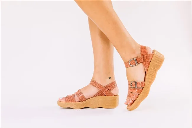 Honeybuckle - Salmon/ Croc