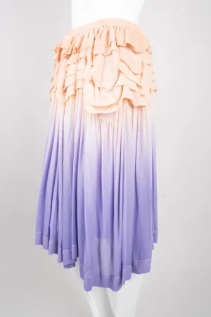 Ombré Chiffon Ruffle Skirt