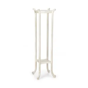 Paris Fern Stand
