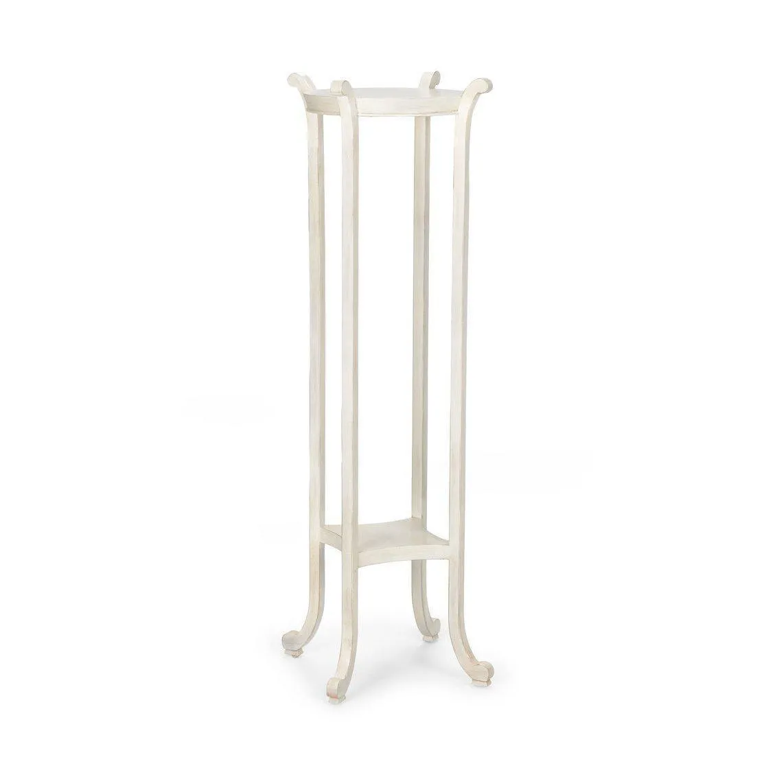 Paris Fern Stand